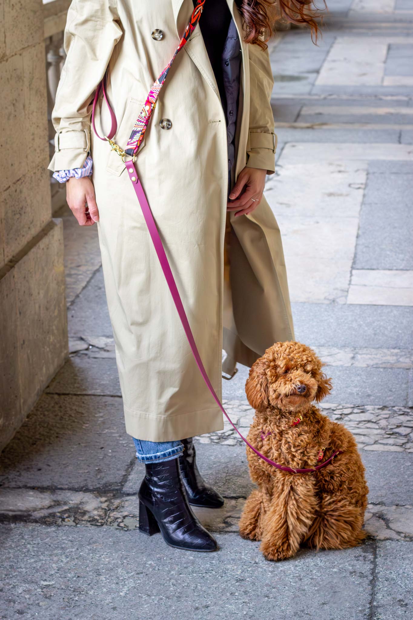 Laisse mains libres Java