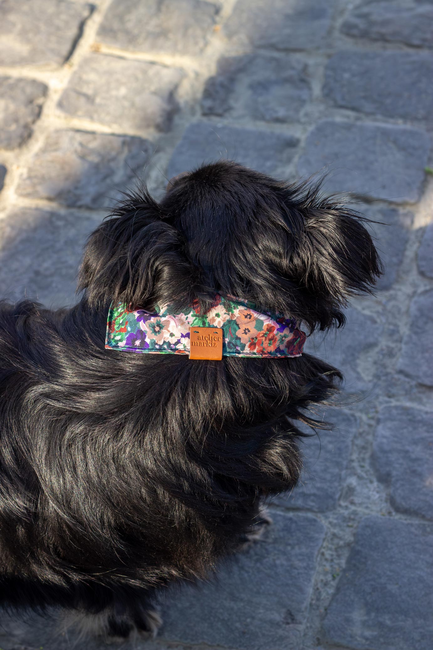 Un petit chien noir porte un bandana pour chien à fleurs vert