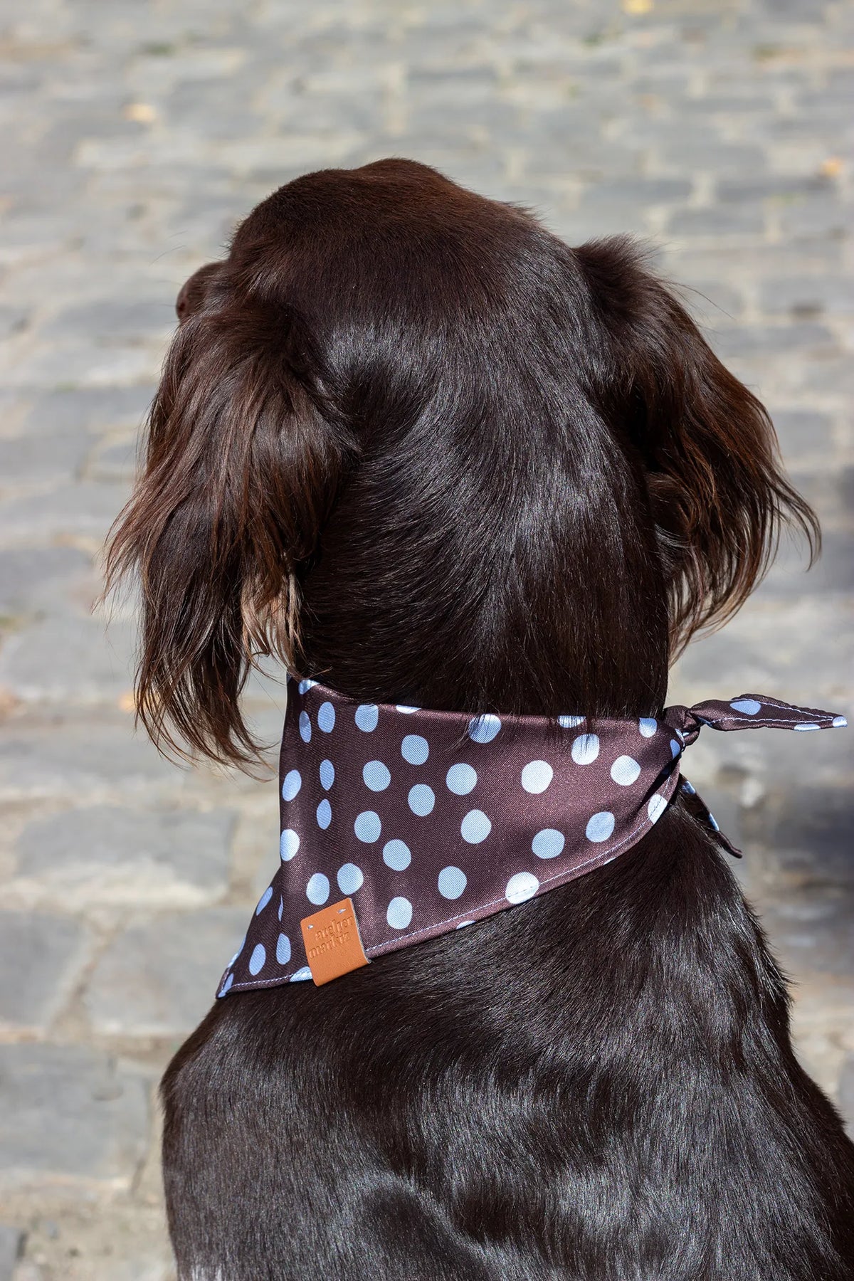 Bandana Bowie