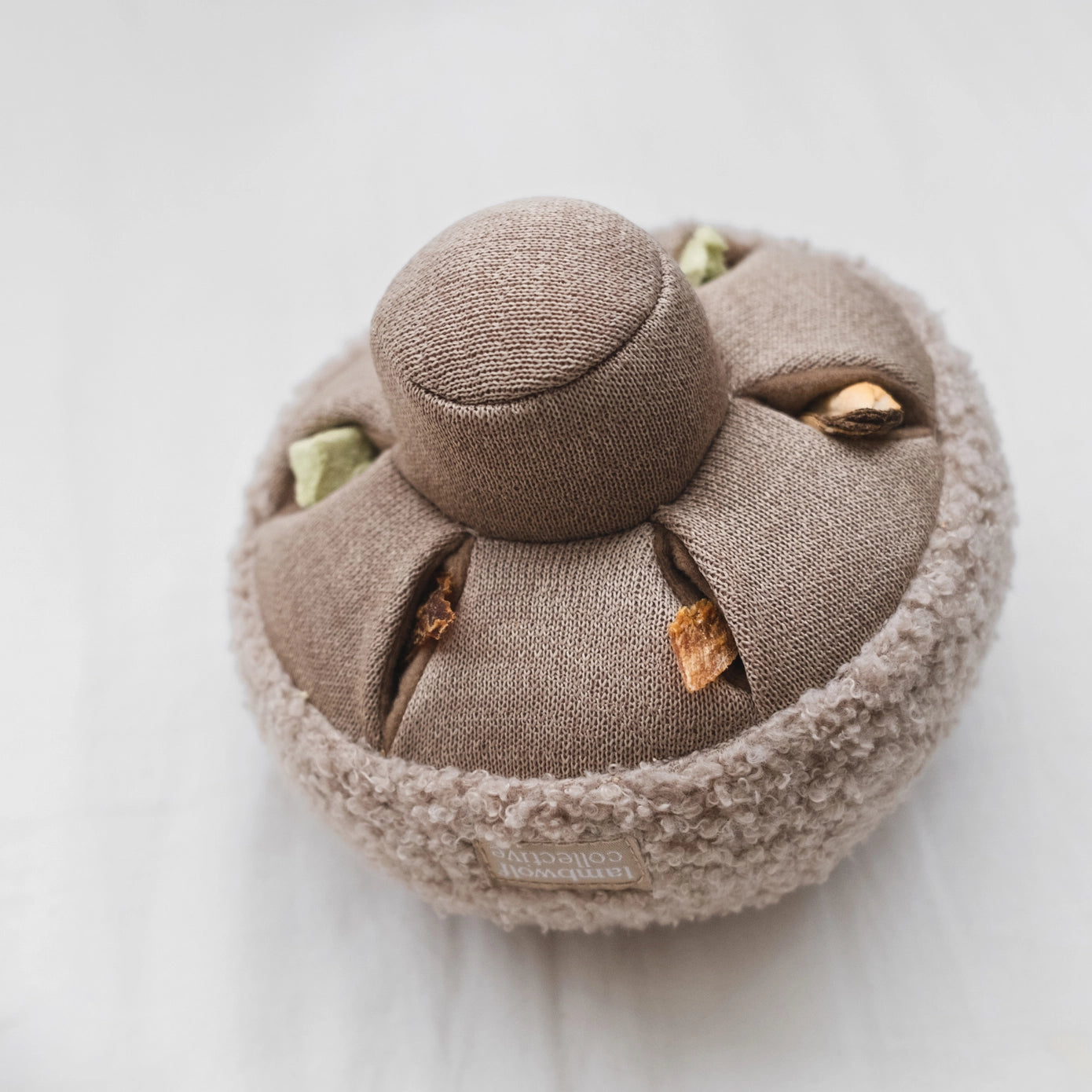 Champignon de fouille