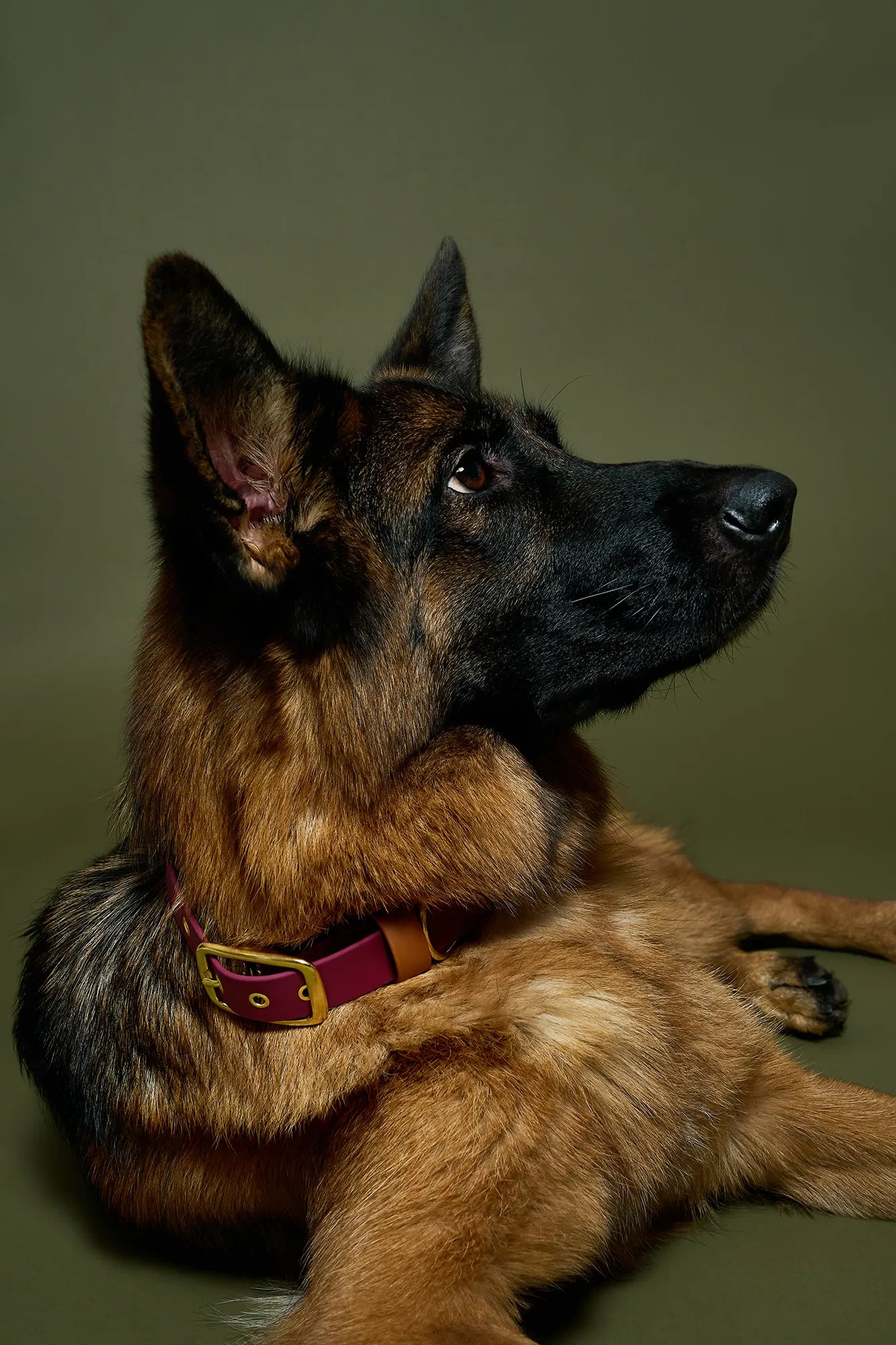 Collier imperméable Sangria