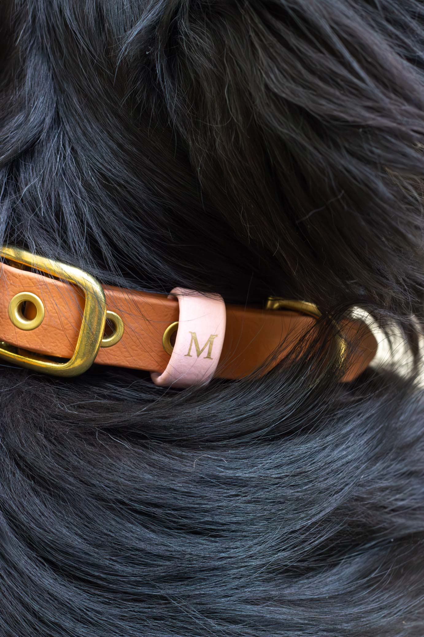 Collier imperméable Sylvestre