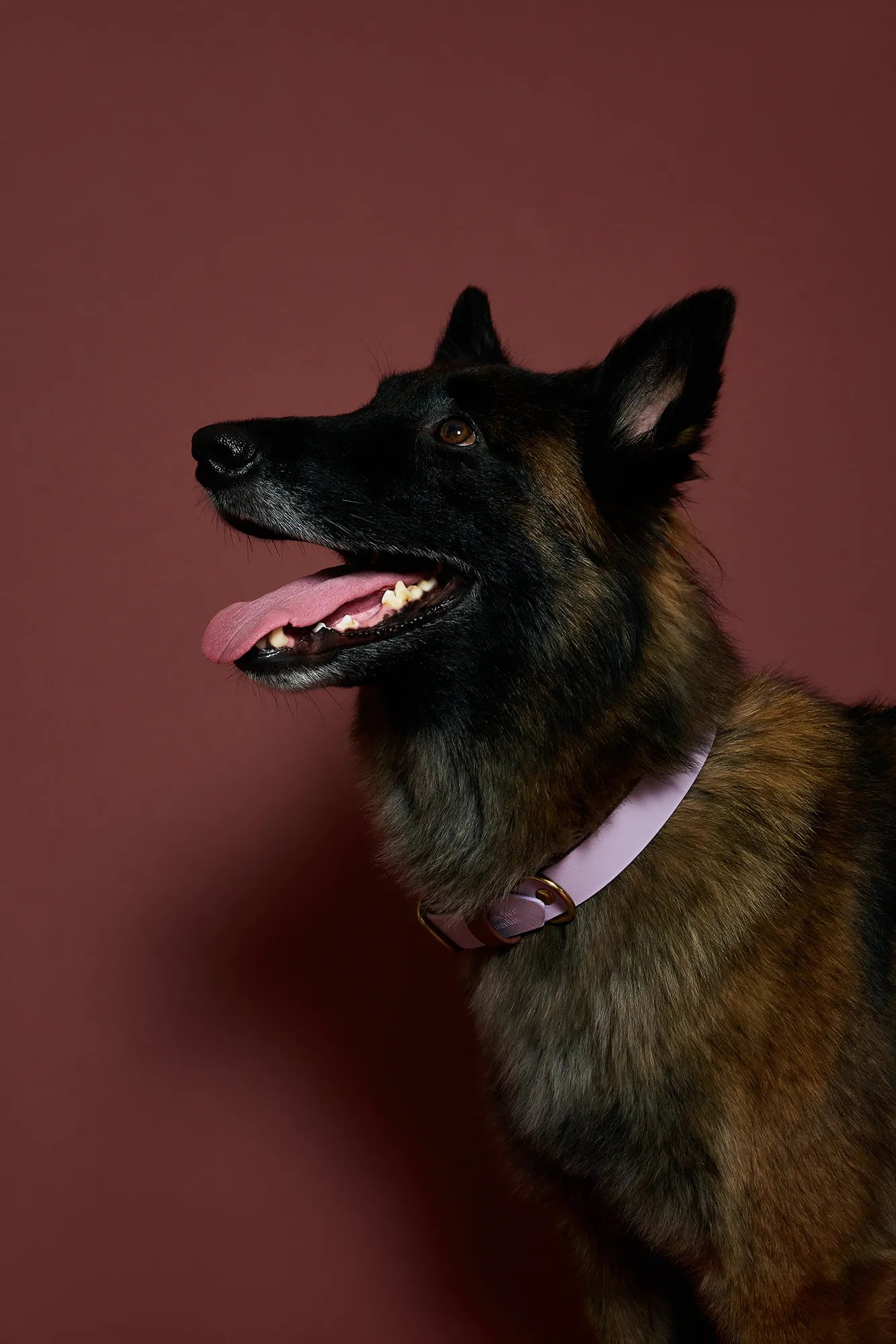 Collier imperméable Parme