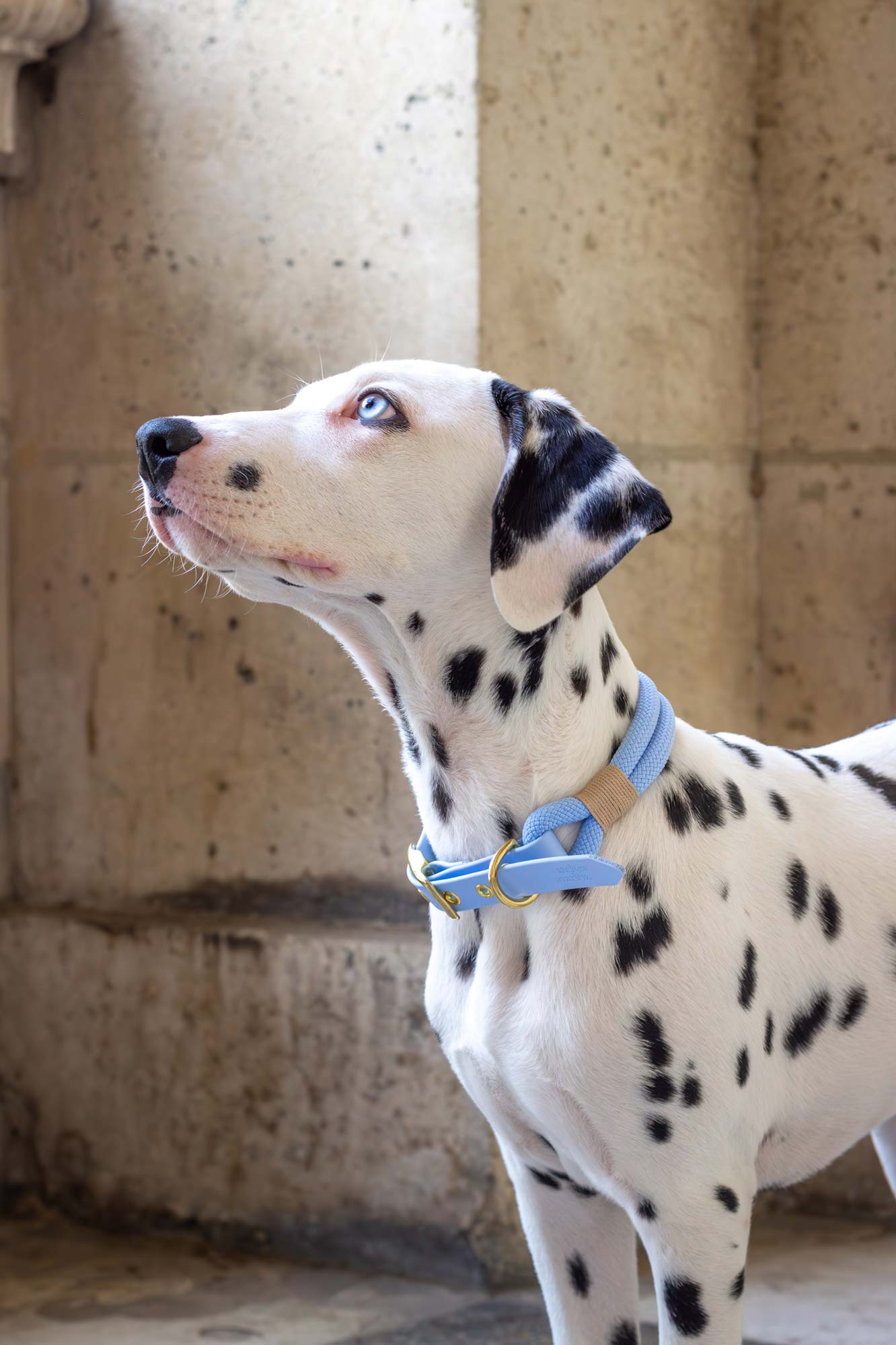 Collier Bleu Polaire