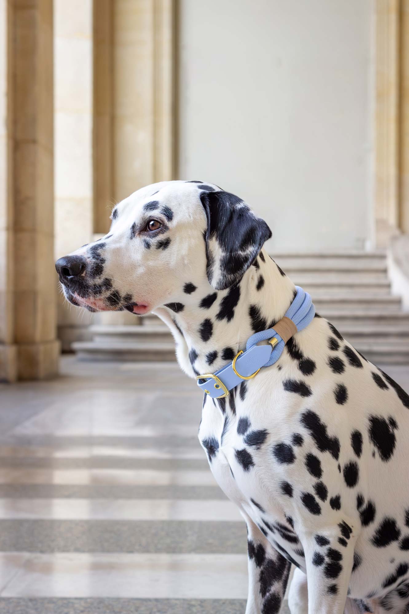Collier Bleu Polaire