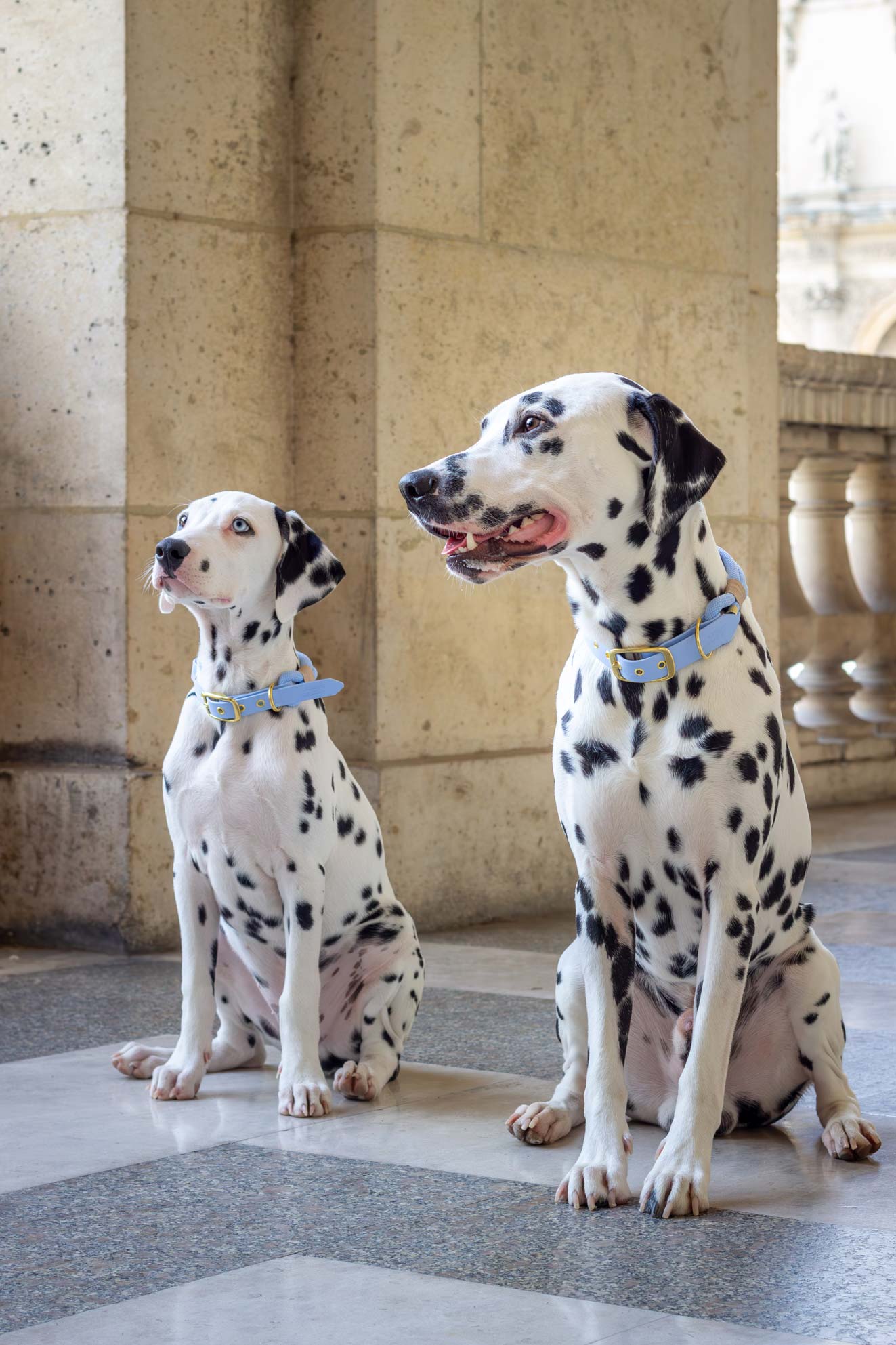 Collier Bleu Polaire