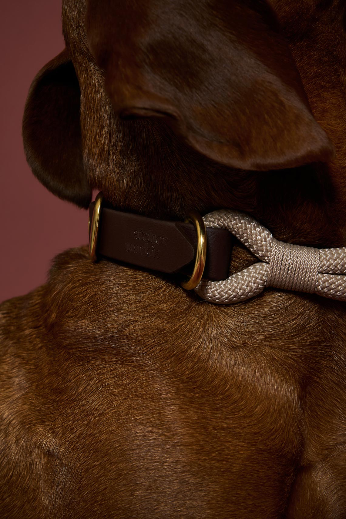 Collier Latte