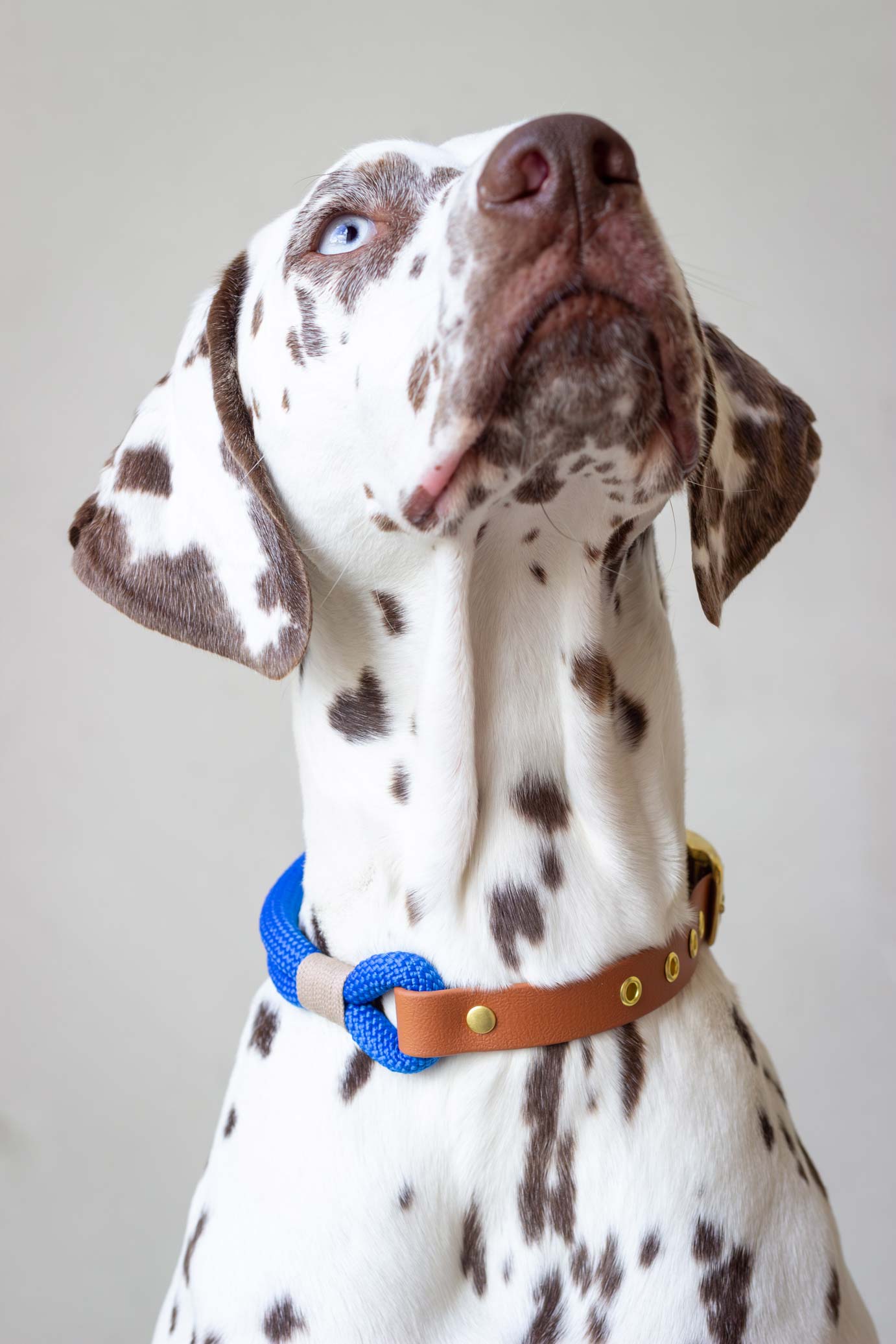 Collier Bleu Électrique