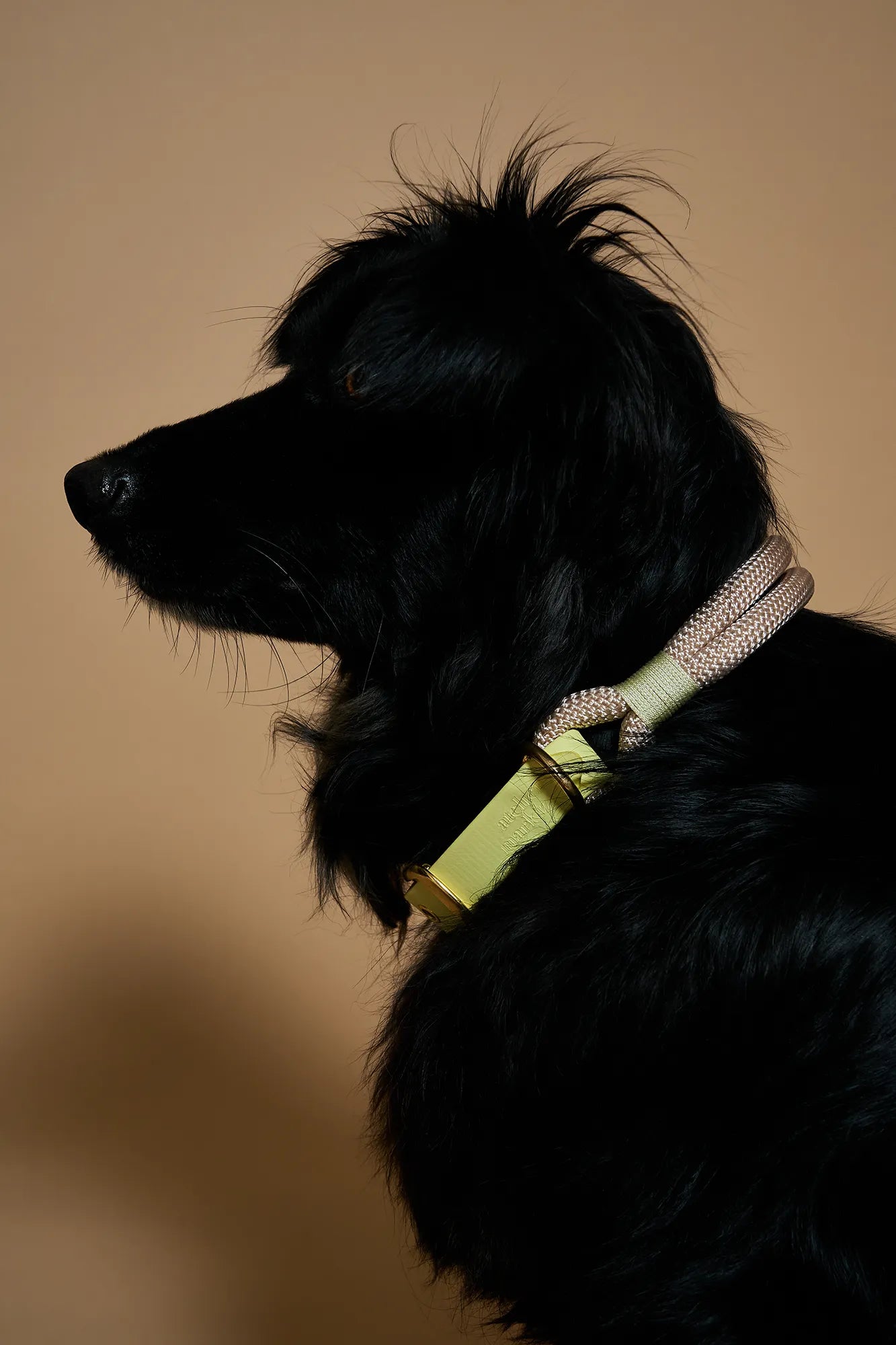 Collier Oslo