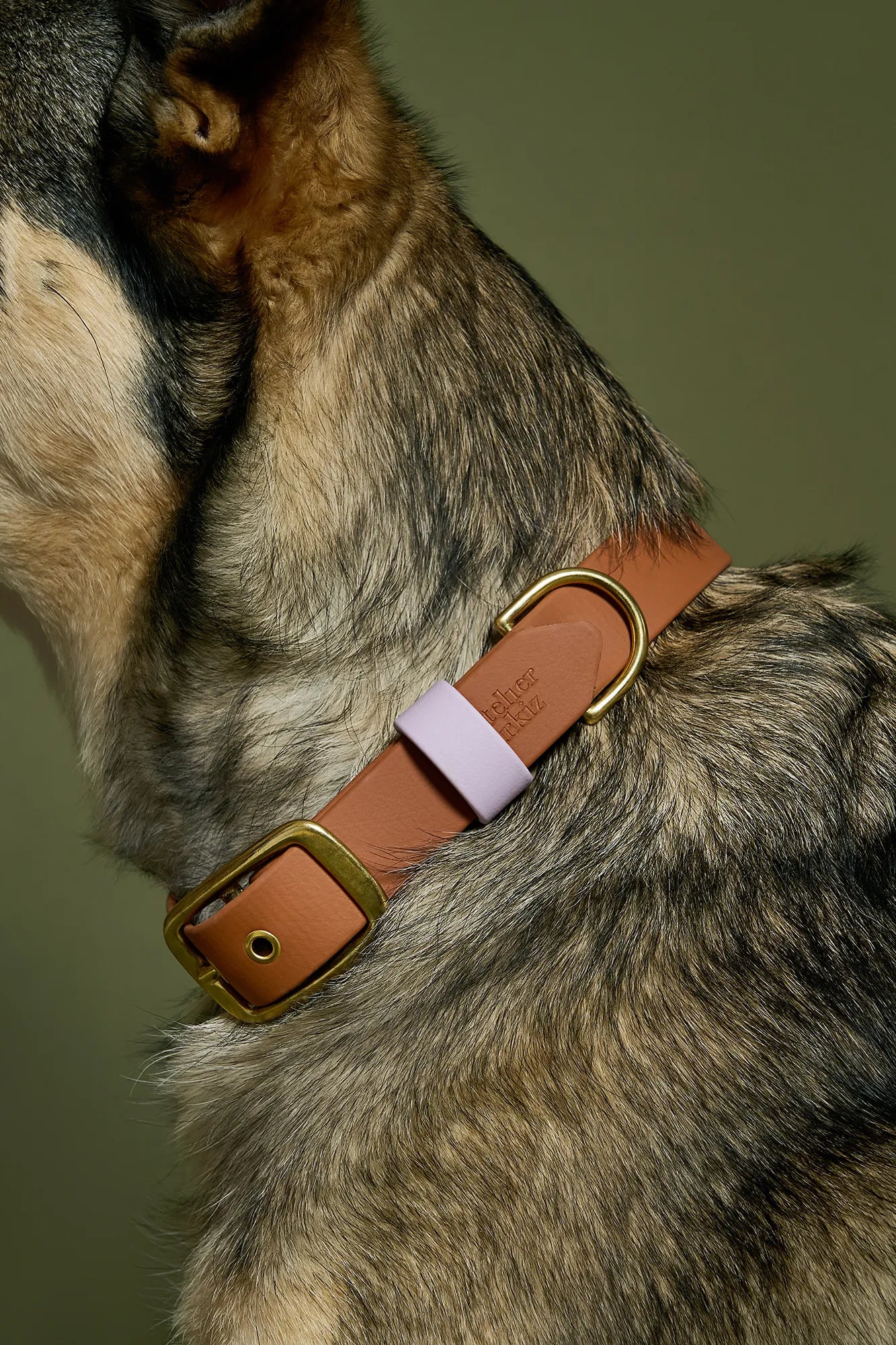 Collier imperméable Camel