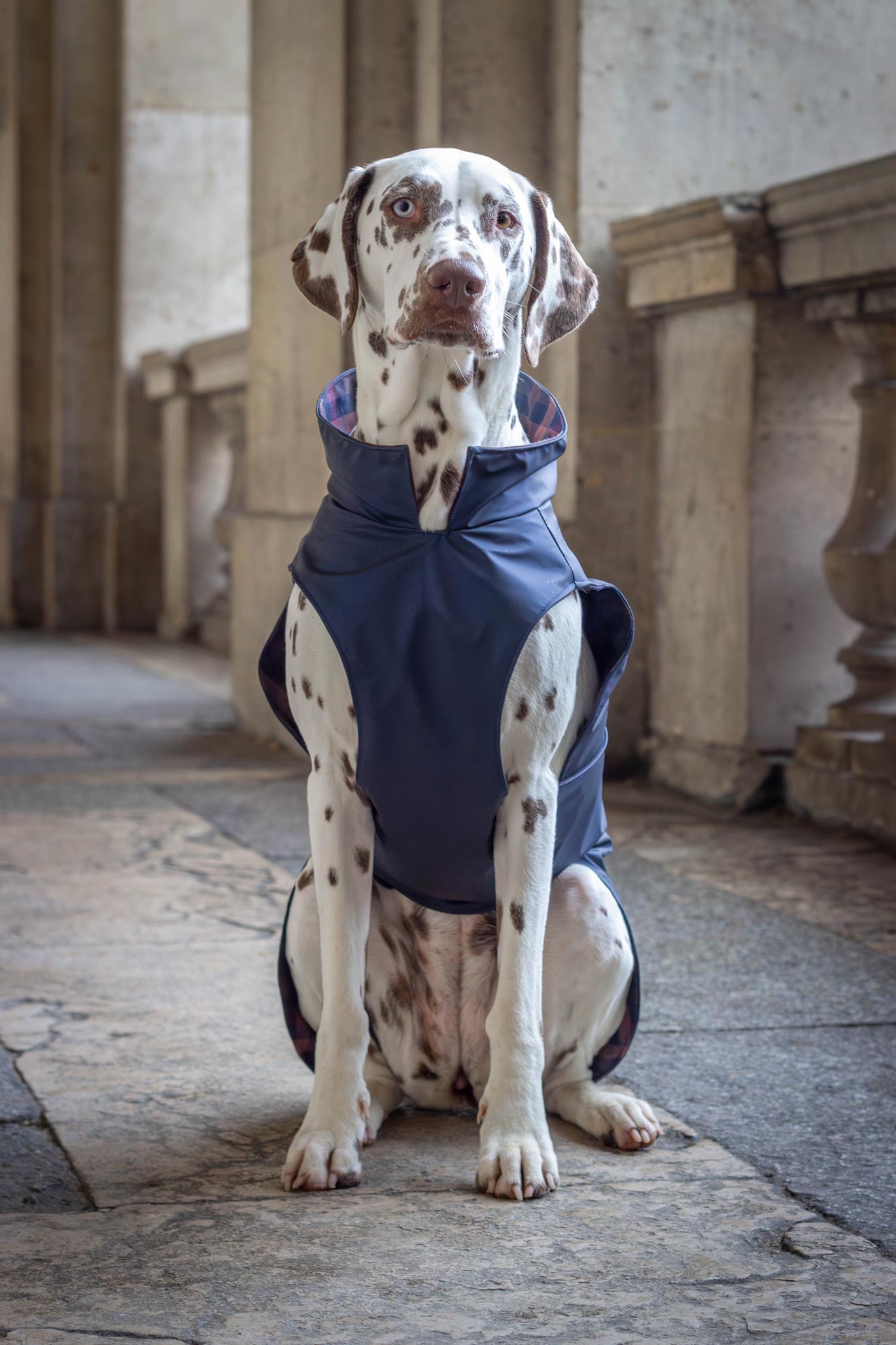 Imperméable Lord