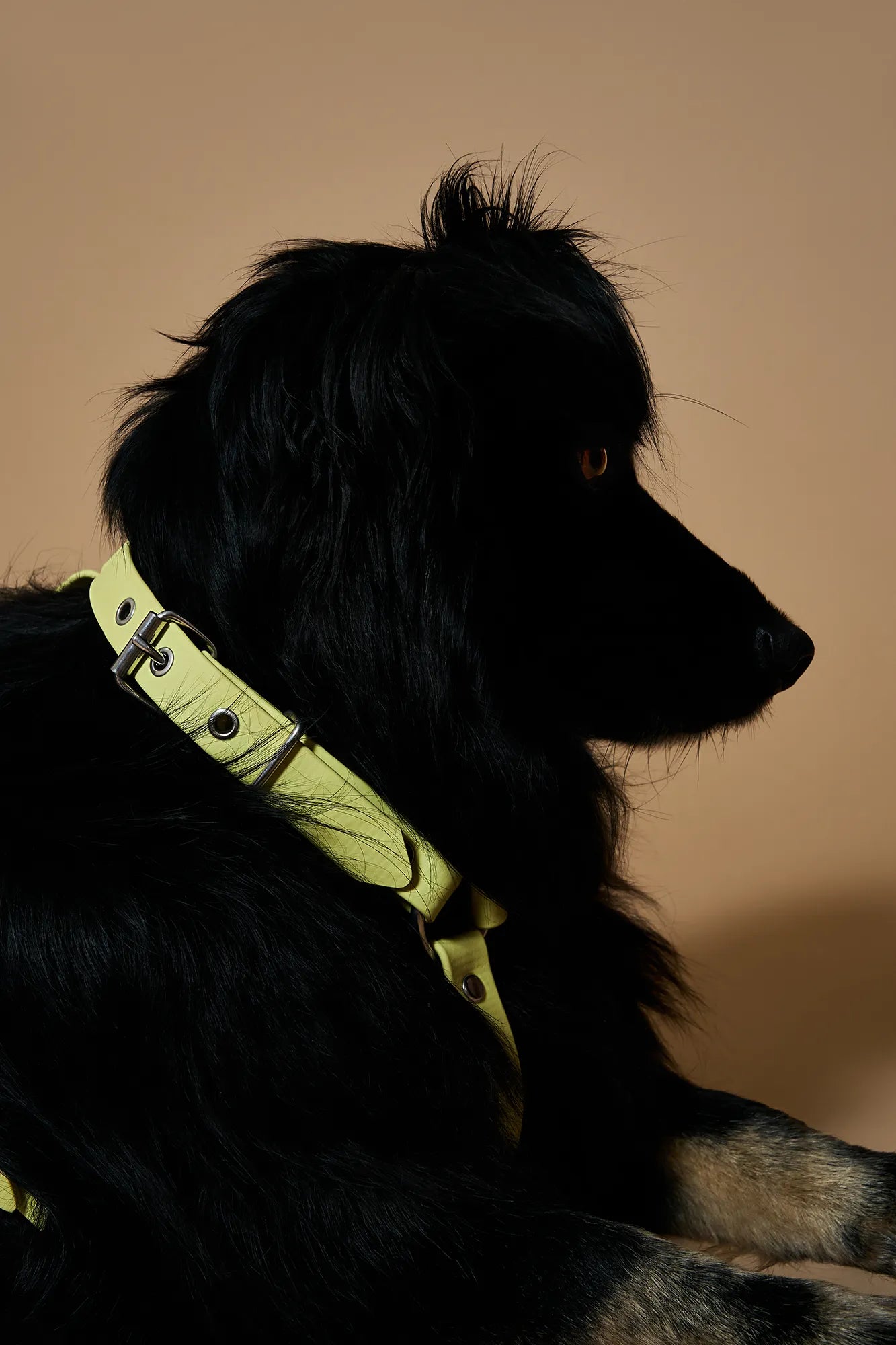 Harnais Jaune Pastel