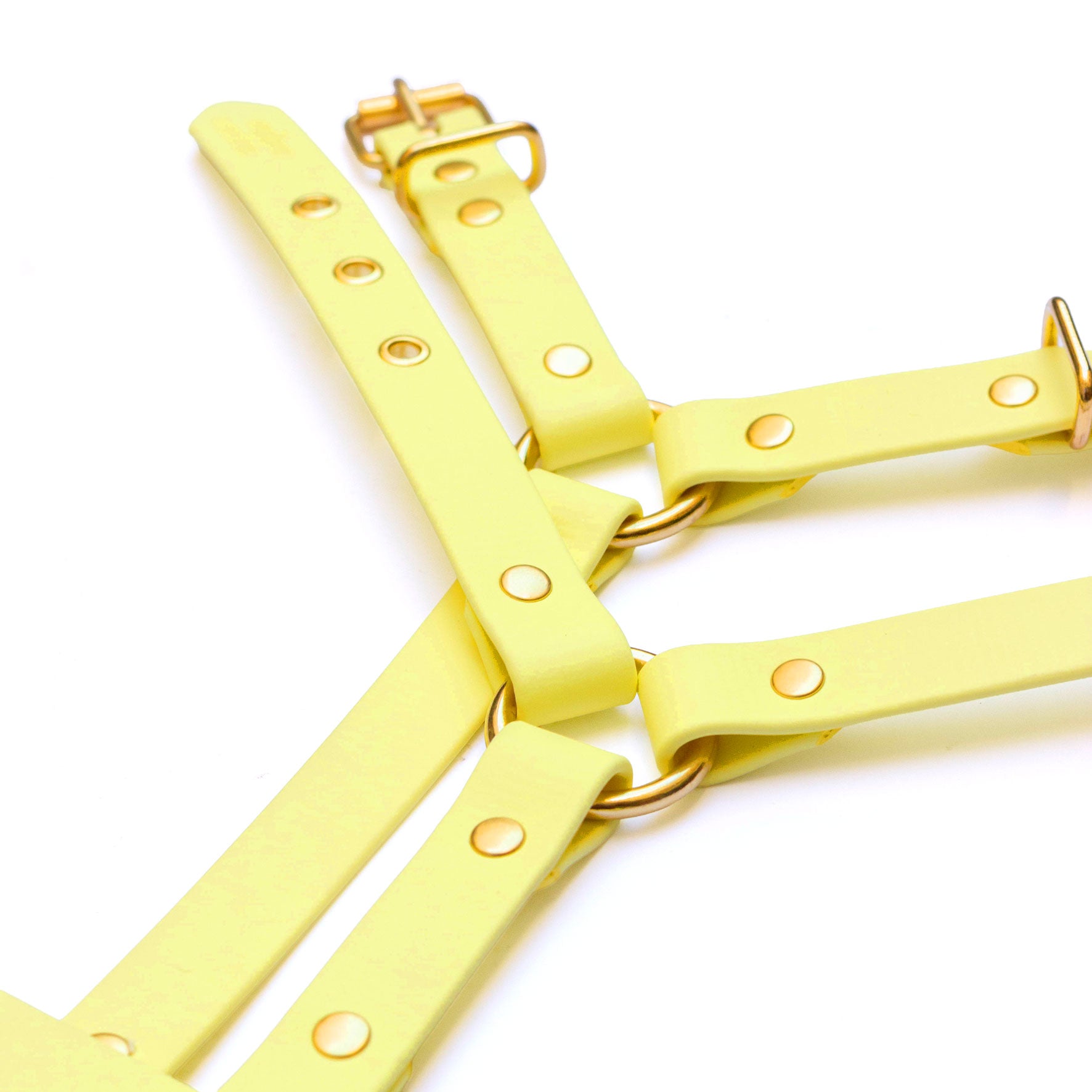 Harnais Jaune Pastel