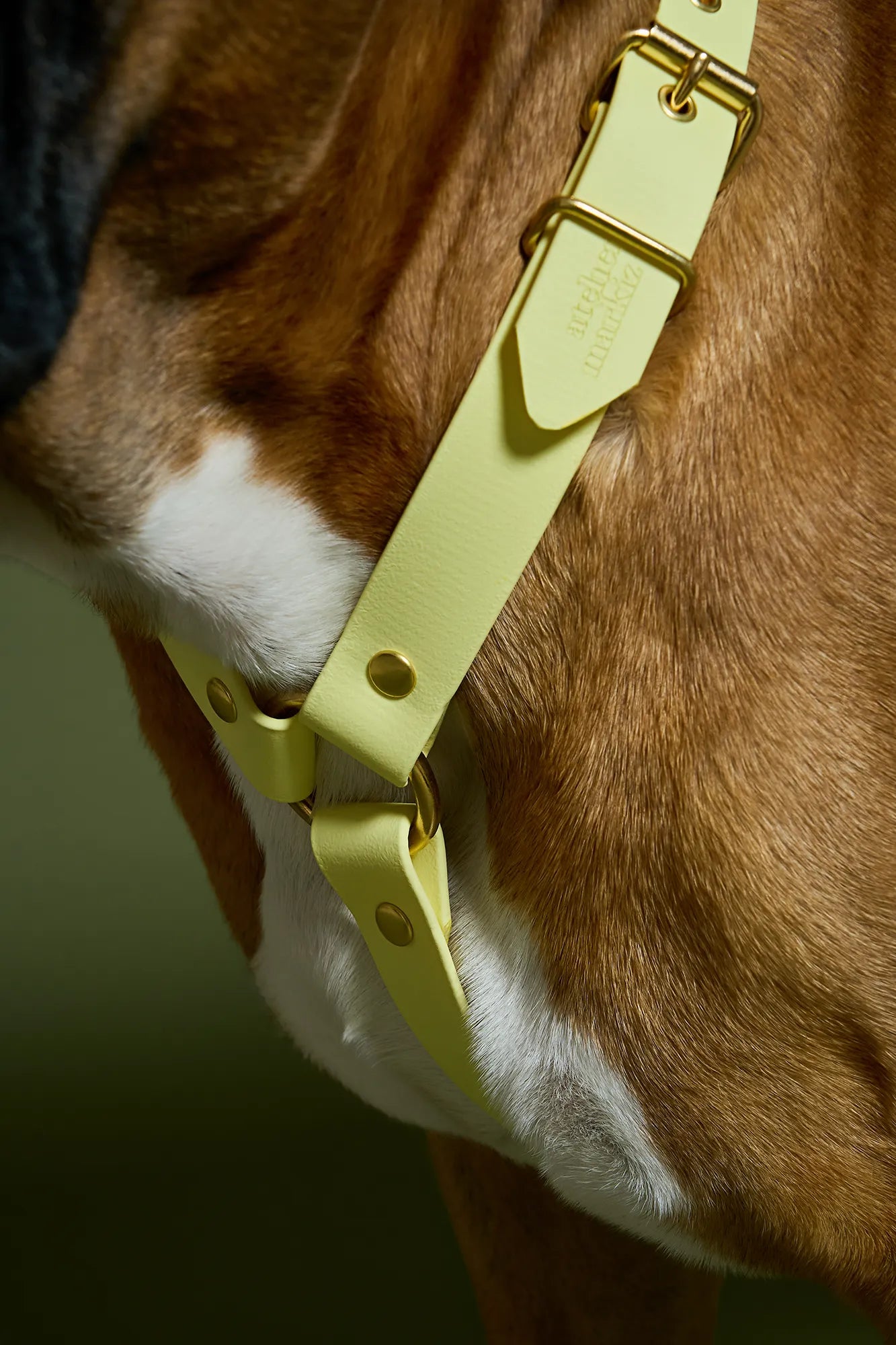 Harnais Jaune Pastel