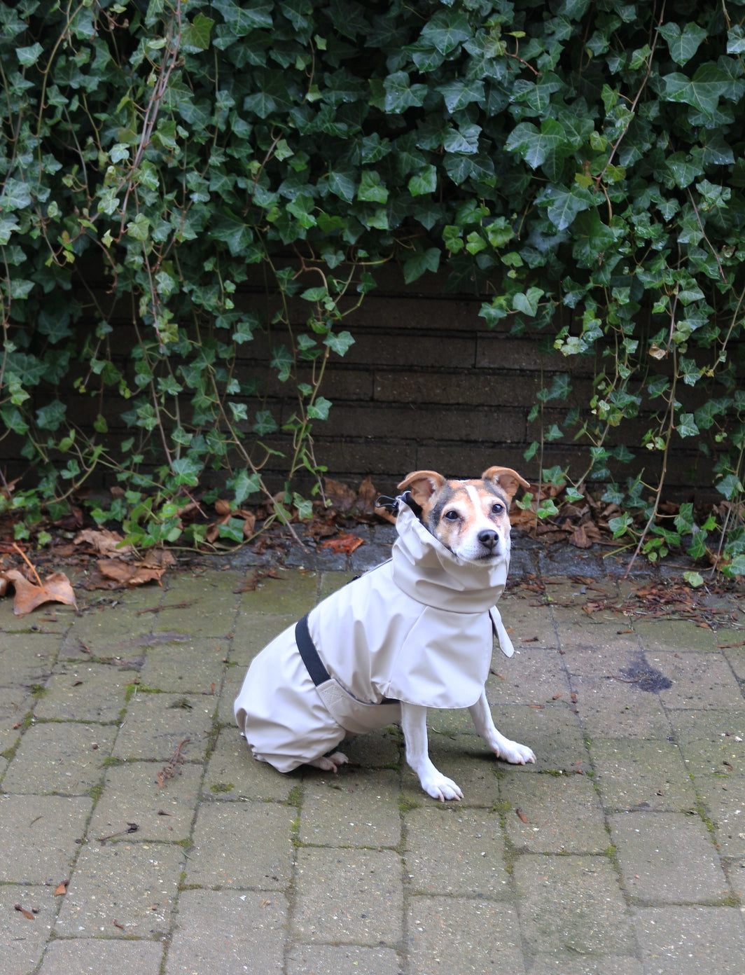 Imperméable beige