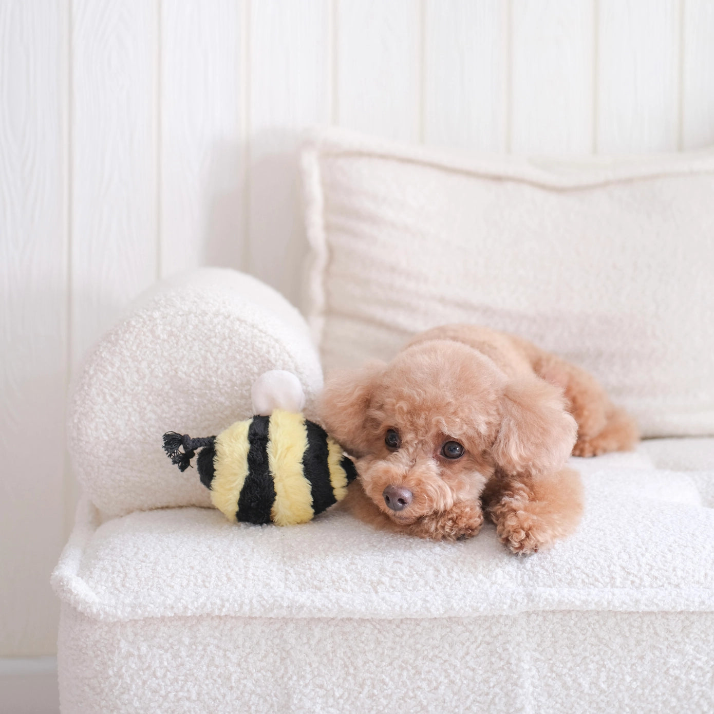 Abeille de fouille