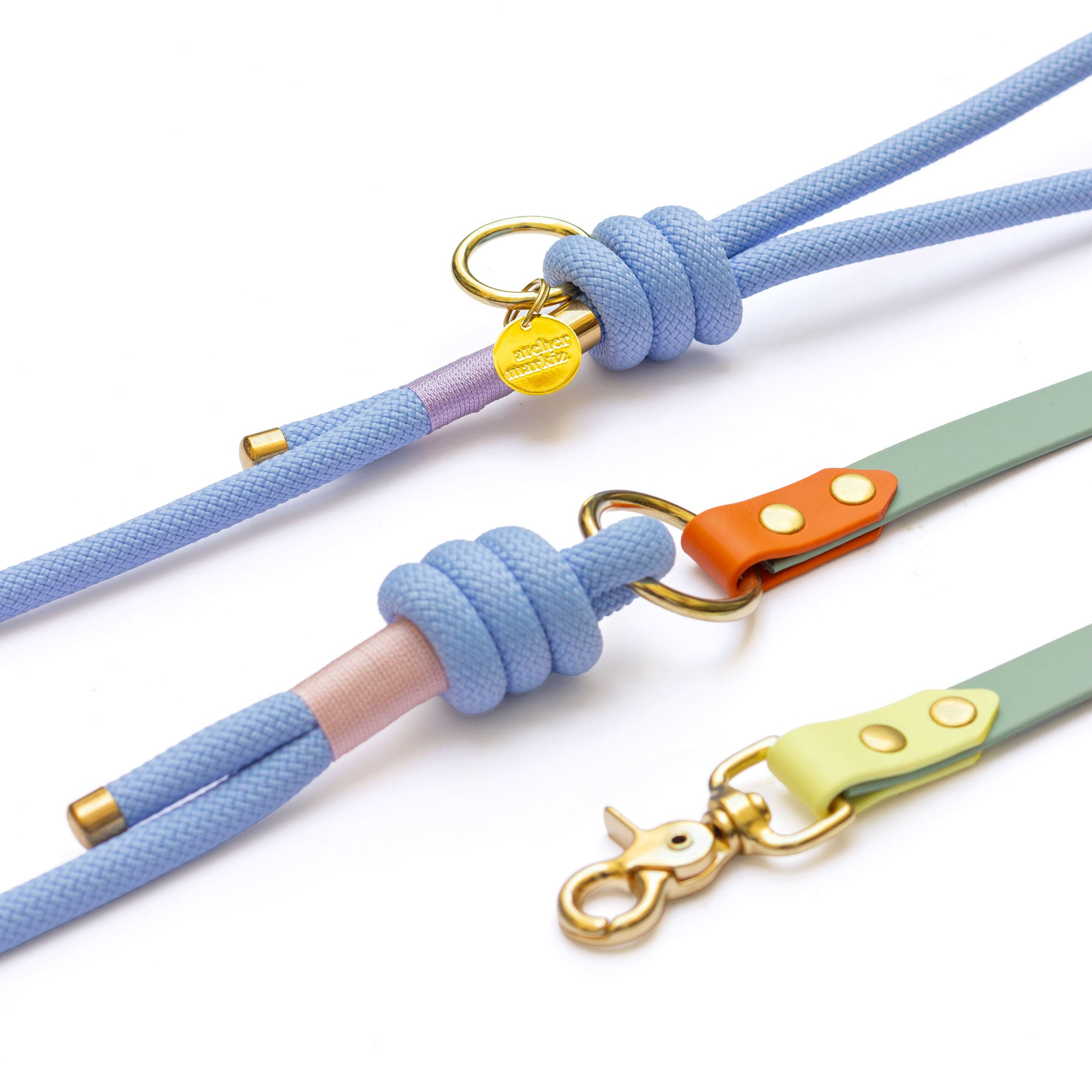 Laisse mains libres corde x Biothane Rainbow