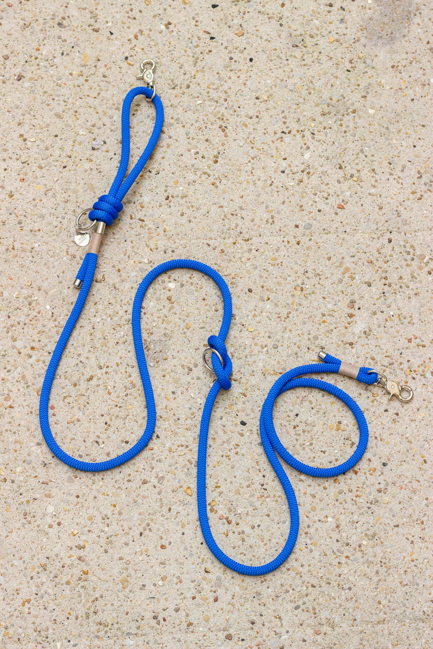 Electric blue leash