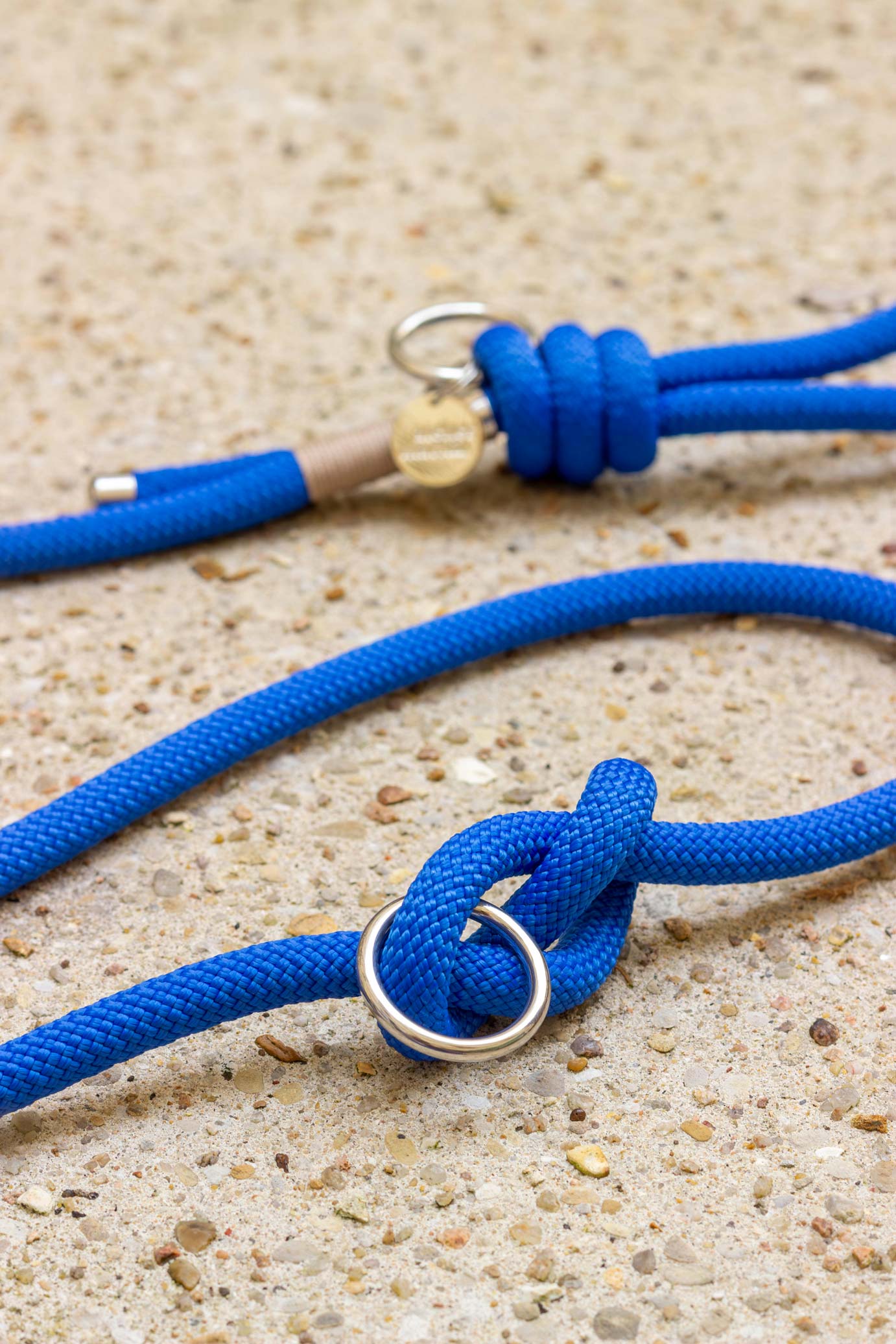 Electric blue leash