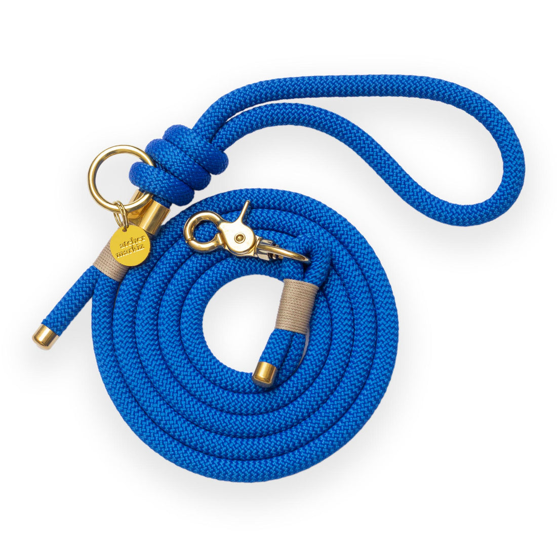 Laisse Bleu Électrique