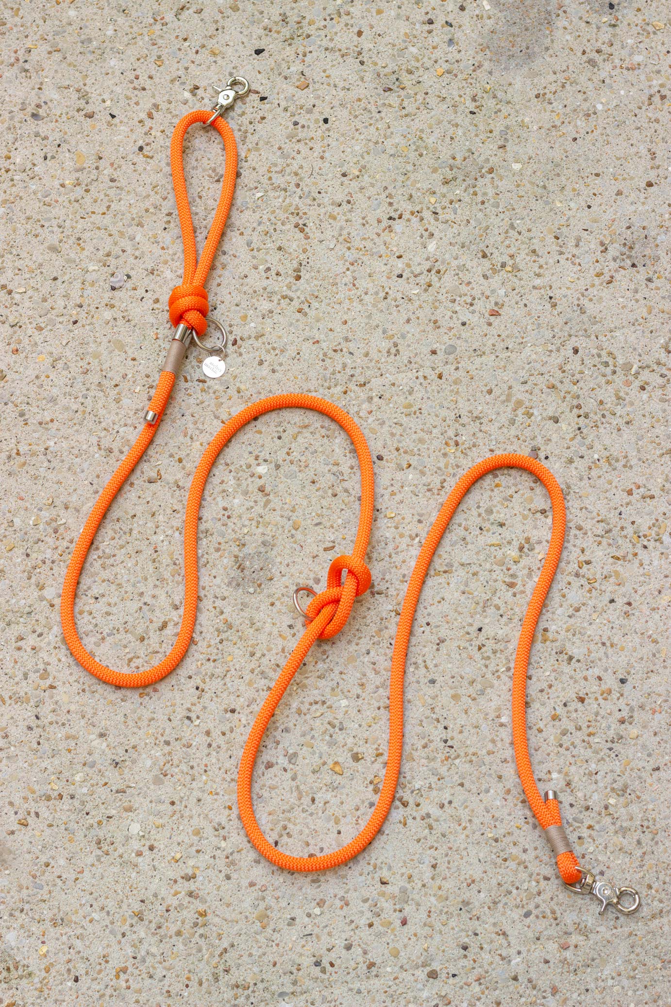 Orange leash