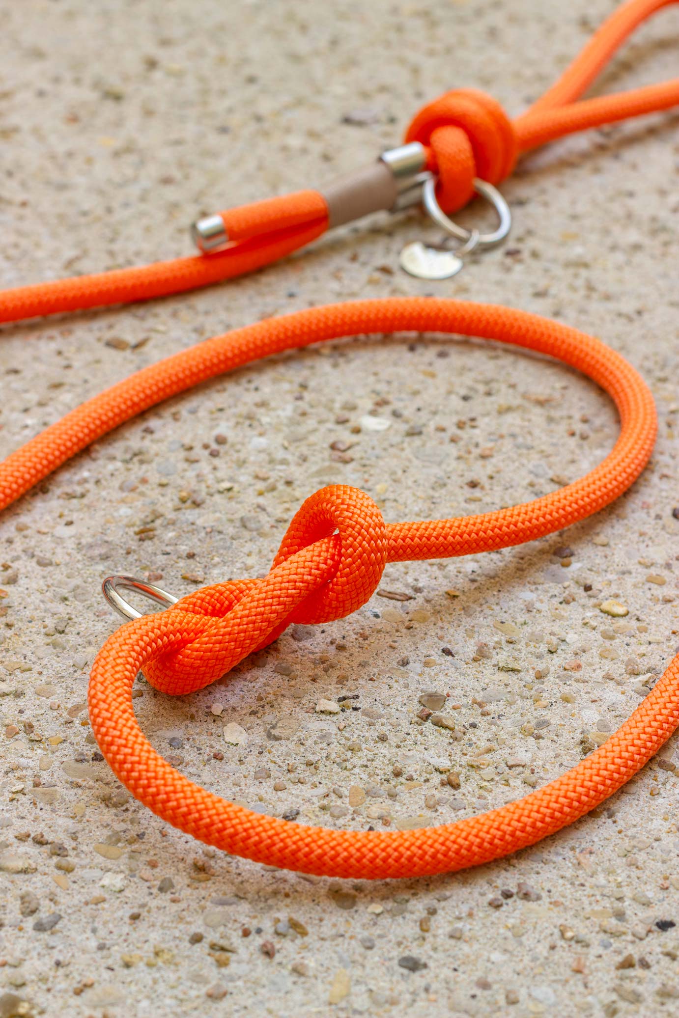 Orange leash