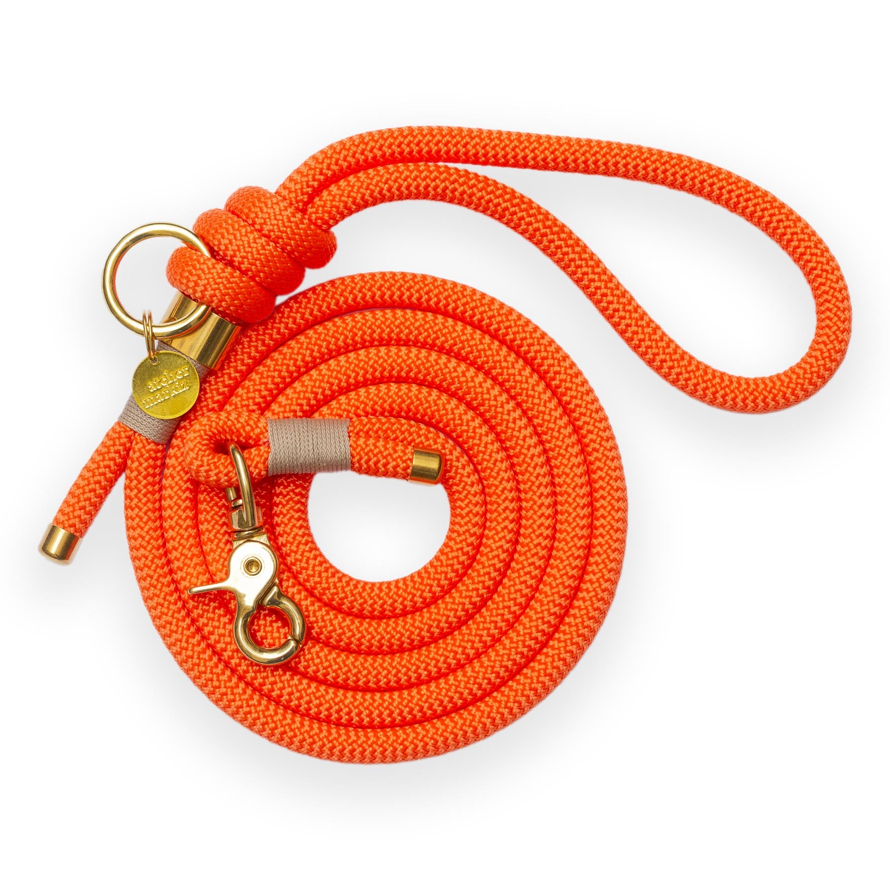 Orange leash
