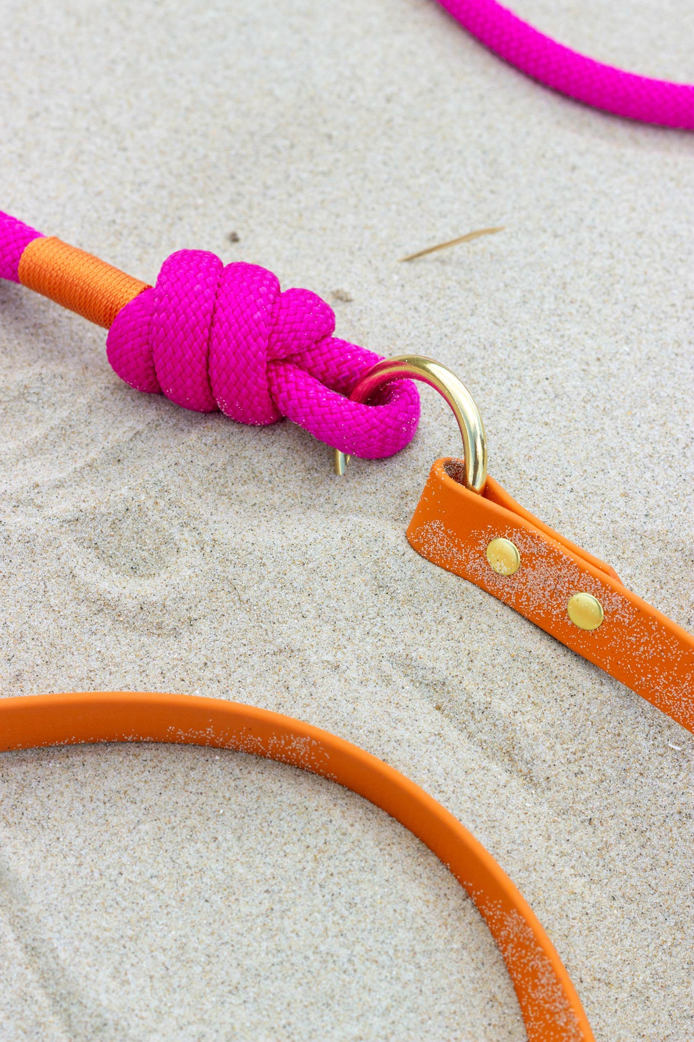 Laisse mains libres corde x Biothane Ibiza