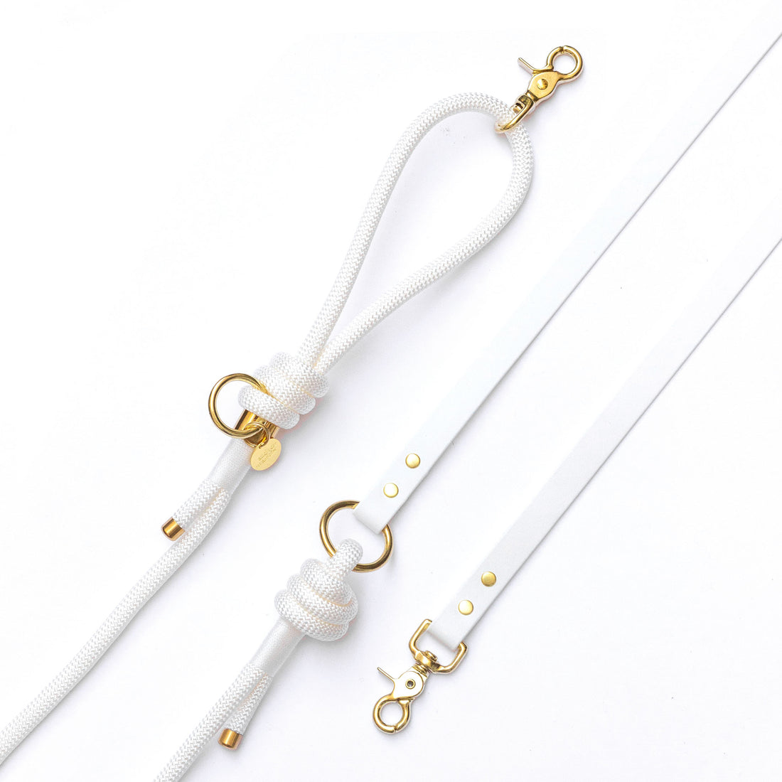 Laisse mains libres corde x Biothane personnalisable