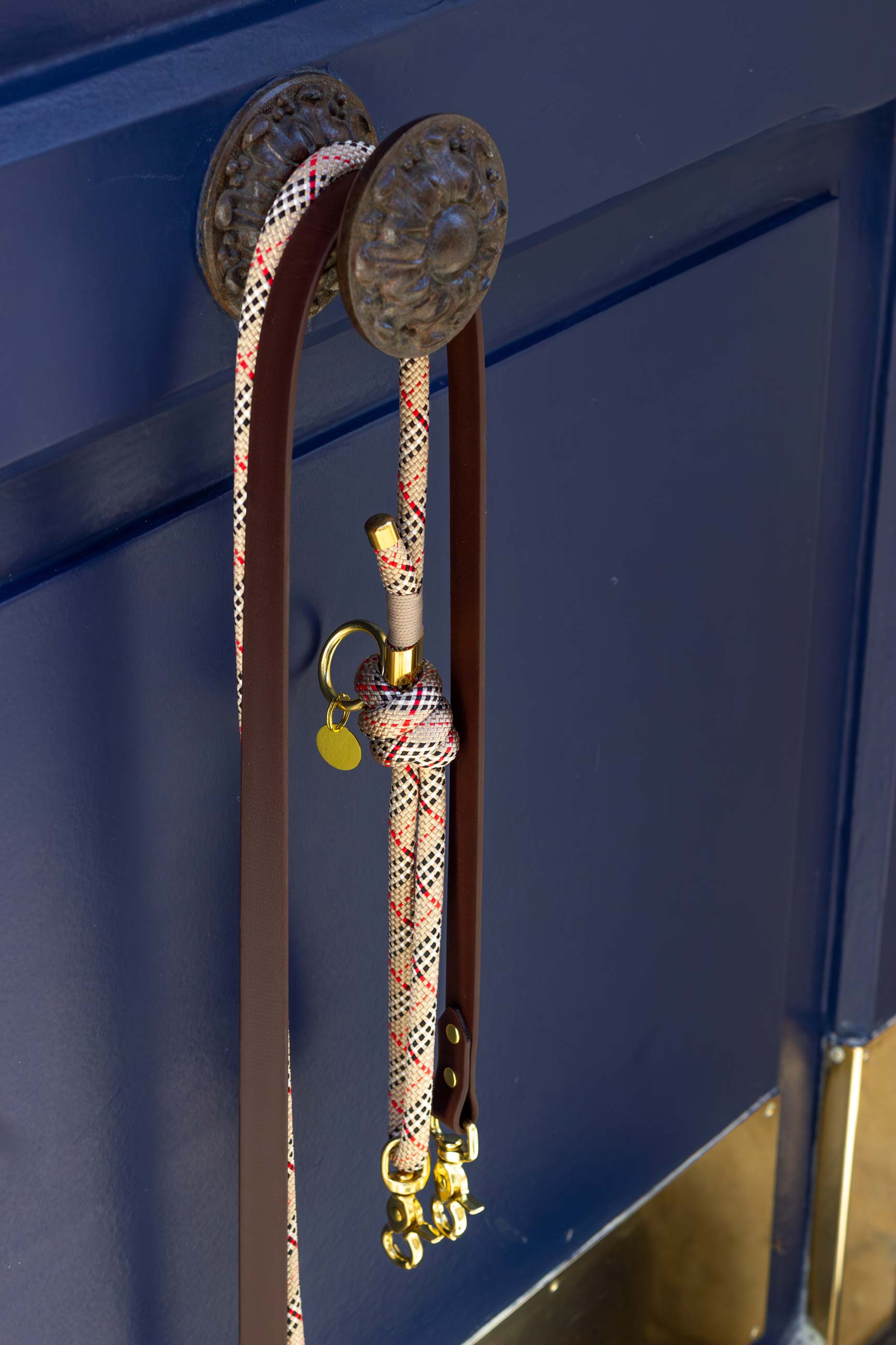 Laisse mains libres corde x Biothane Scottish