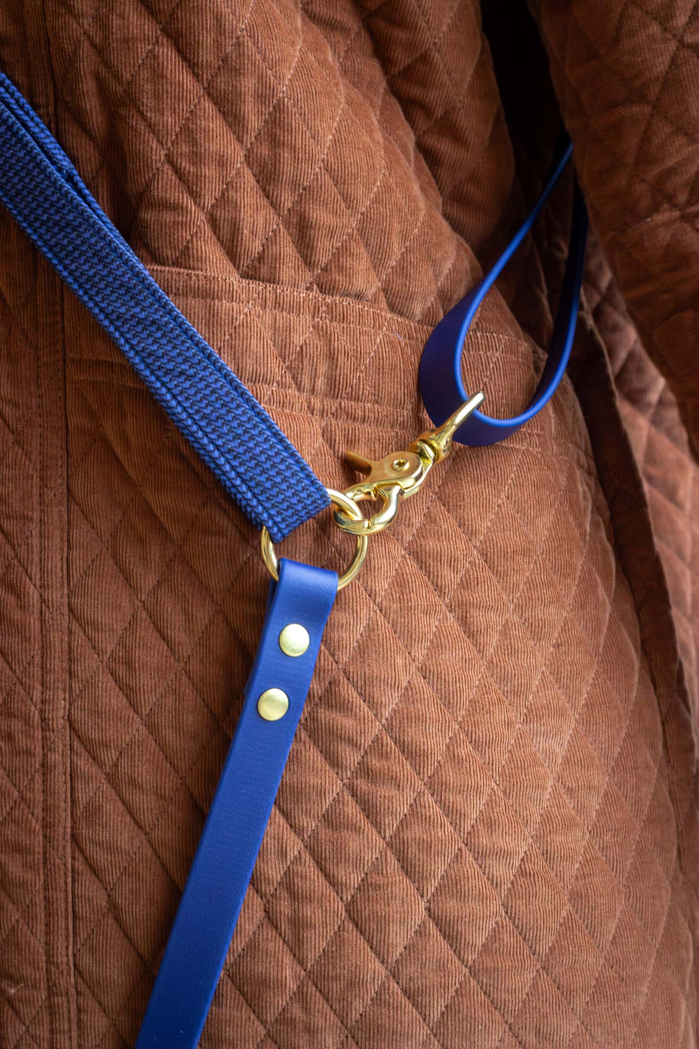 Laisse mains libres Glasgow