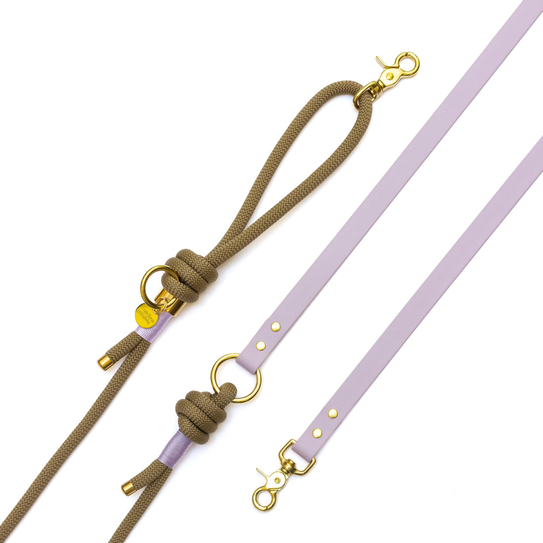 Laisse mains libres corde x Biothane Belfast