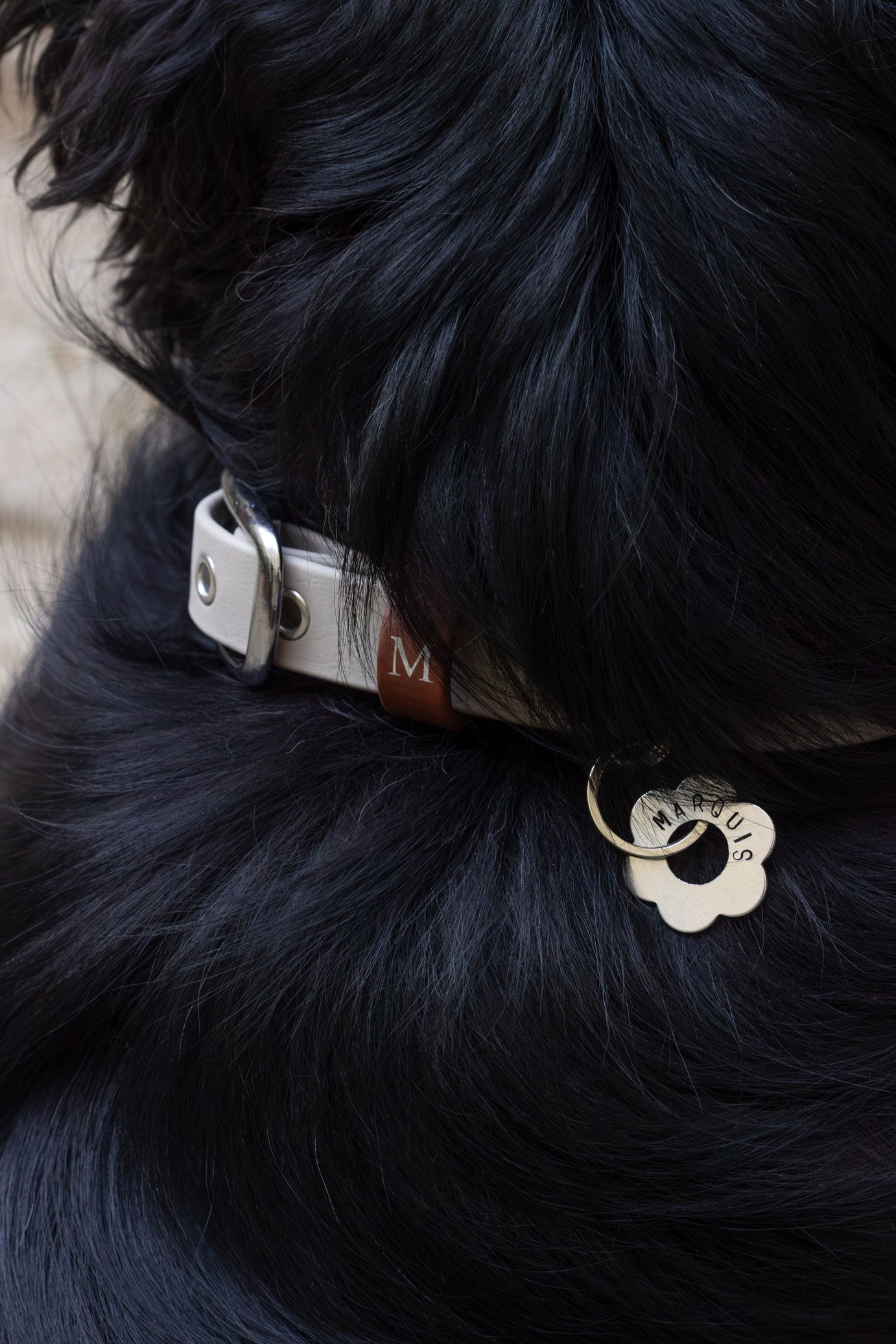 Collier imperméable Sand