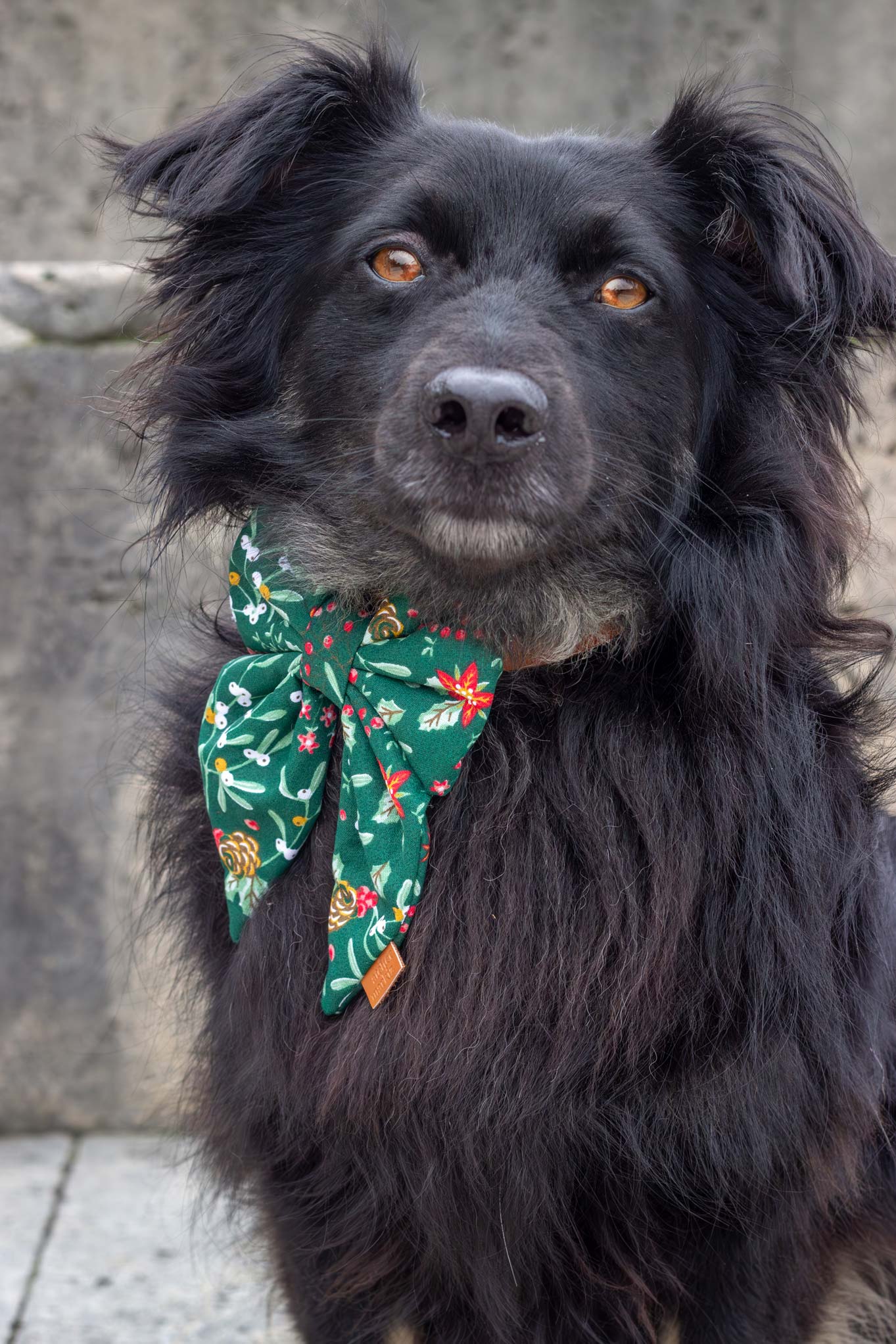 Pack trois sailor bows de Noël