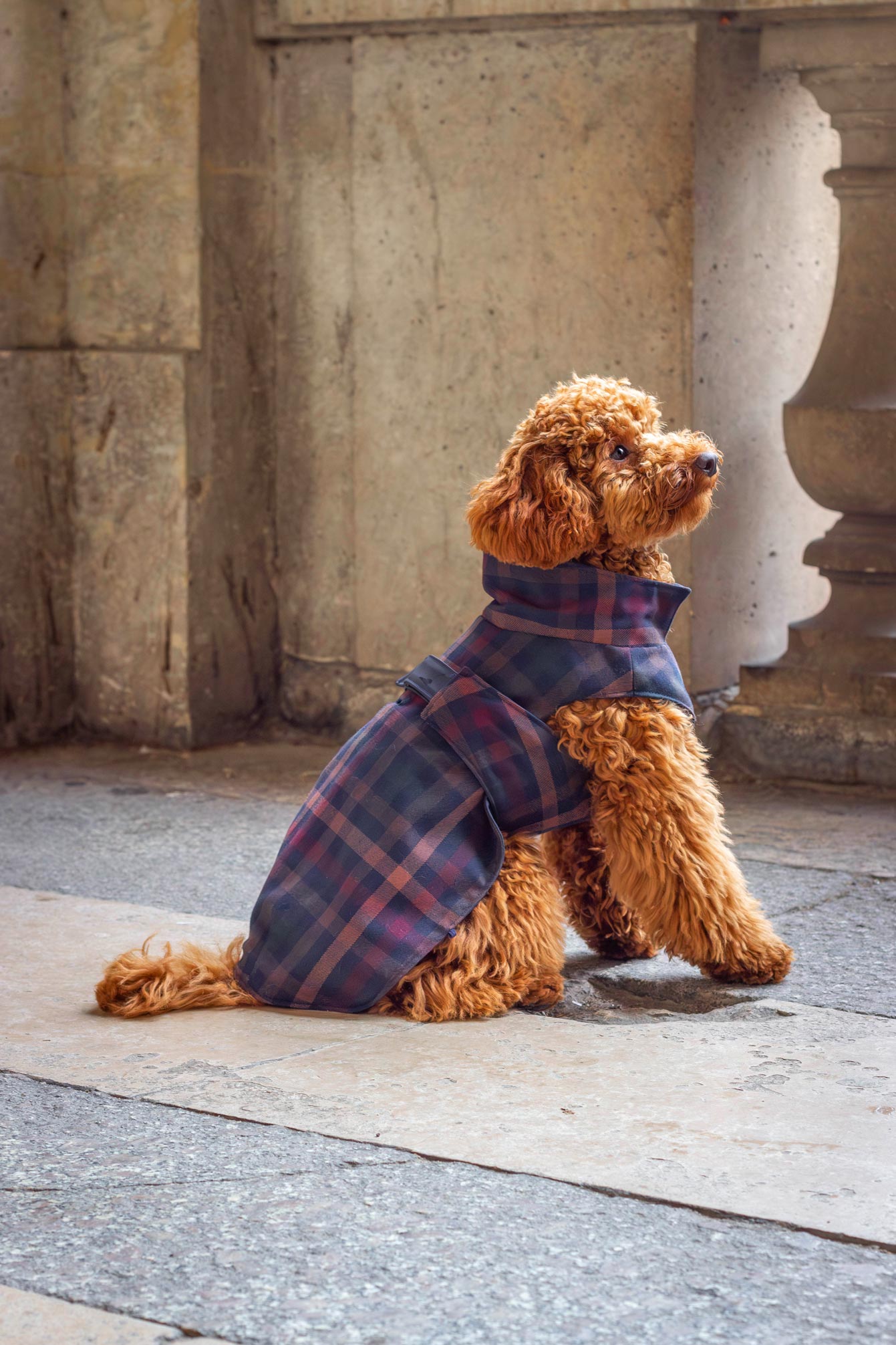 Imperméable Lord