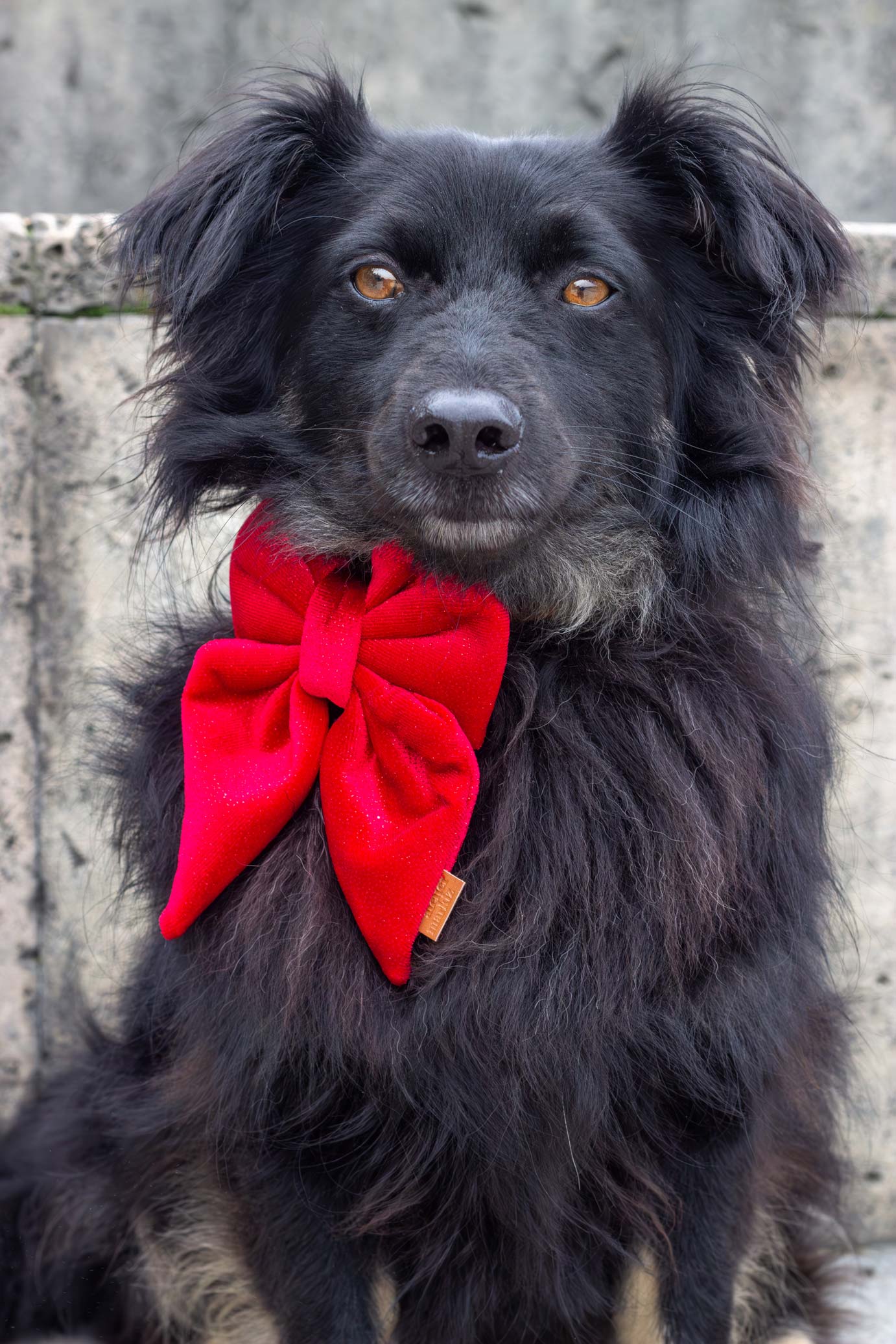 Pack trois sailor bows de Noël