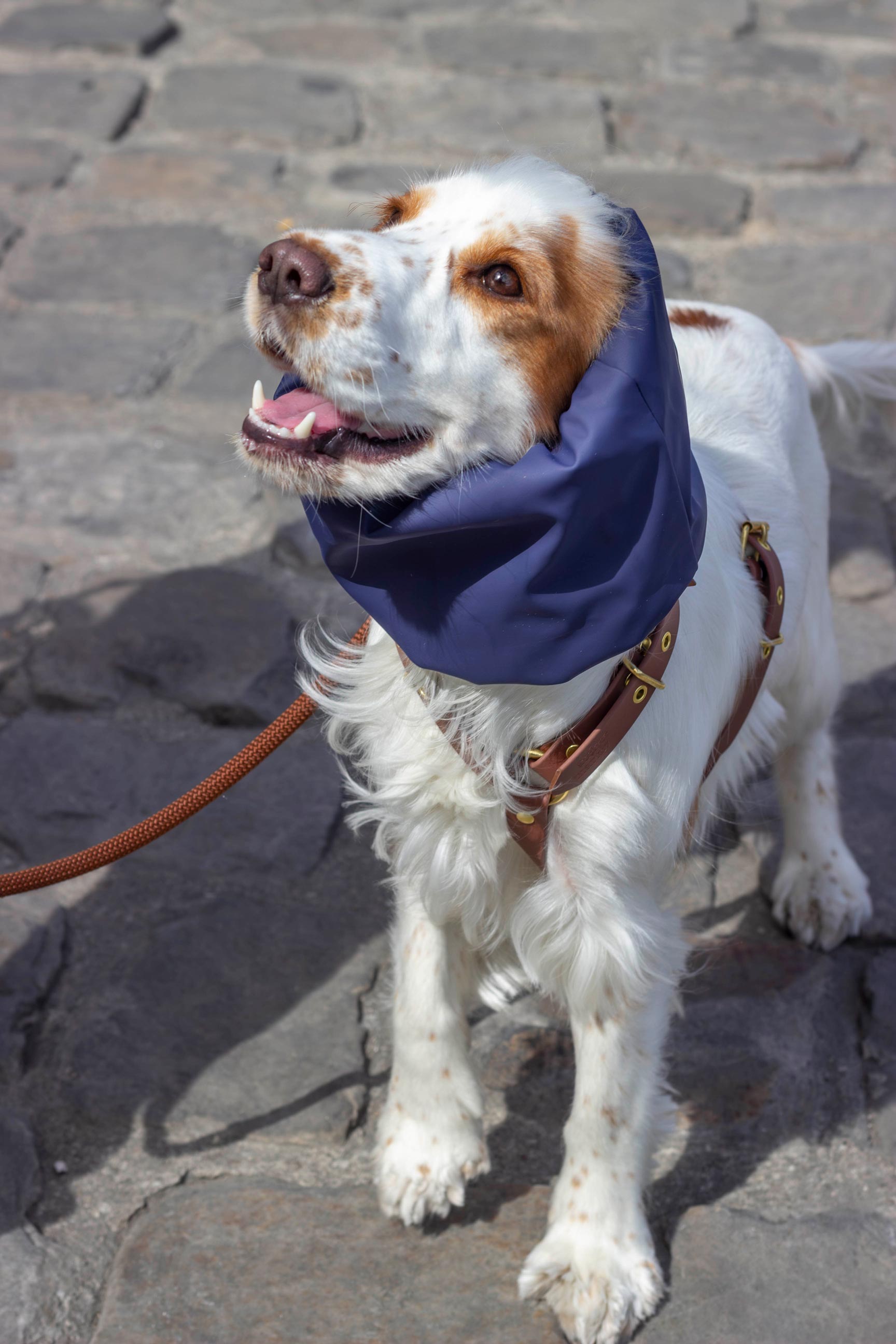 Snood imperméable et réversible Skye