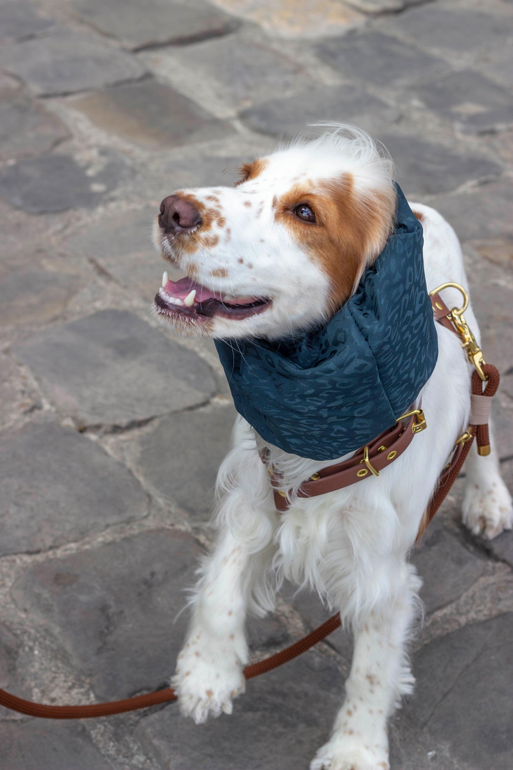 Snood Bali