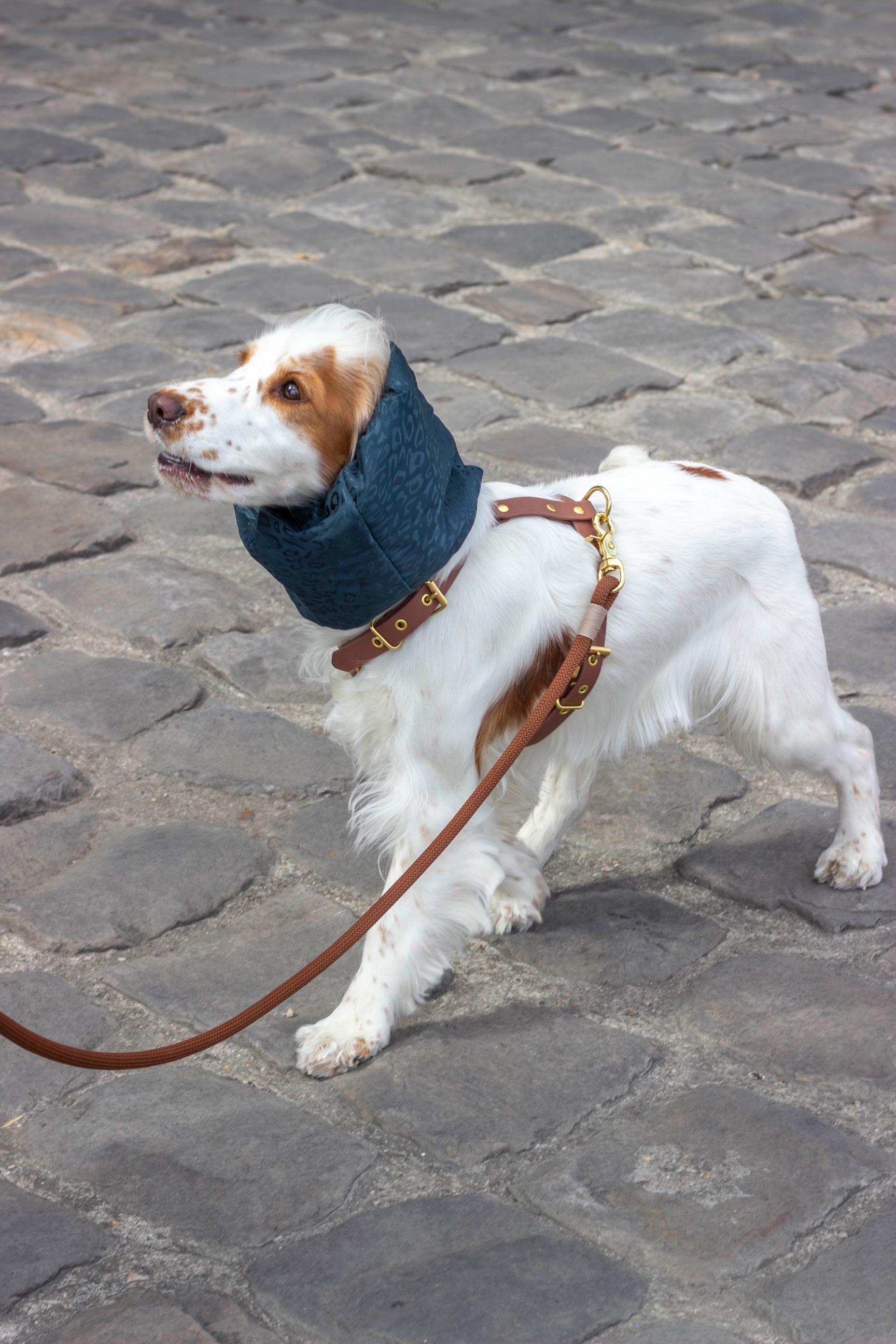 Snood Bali