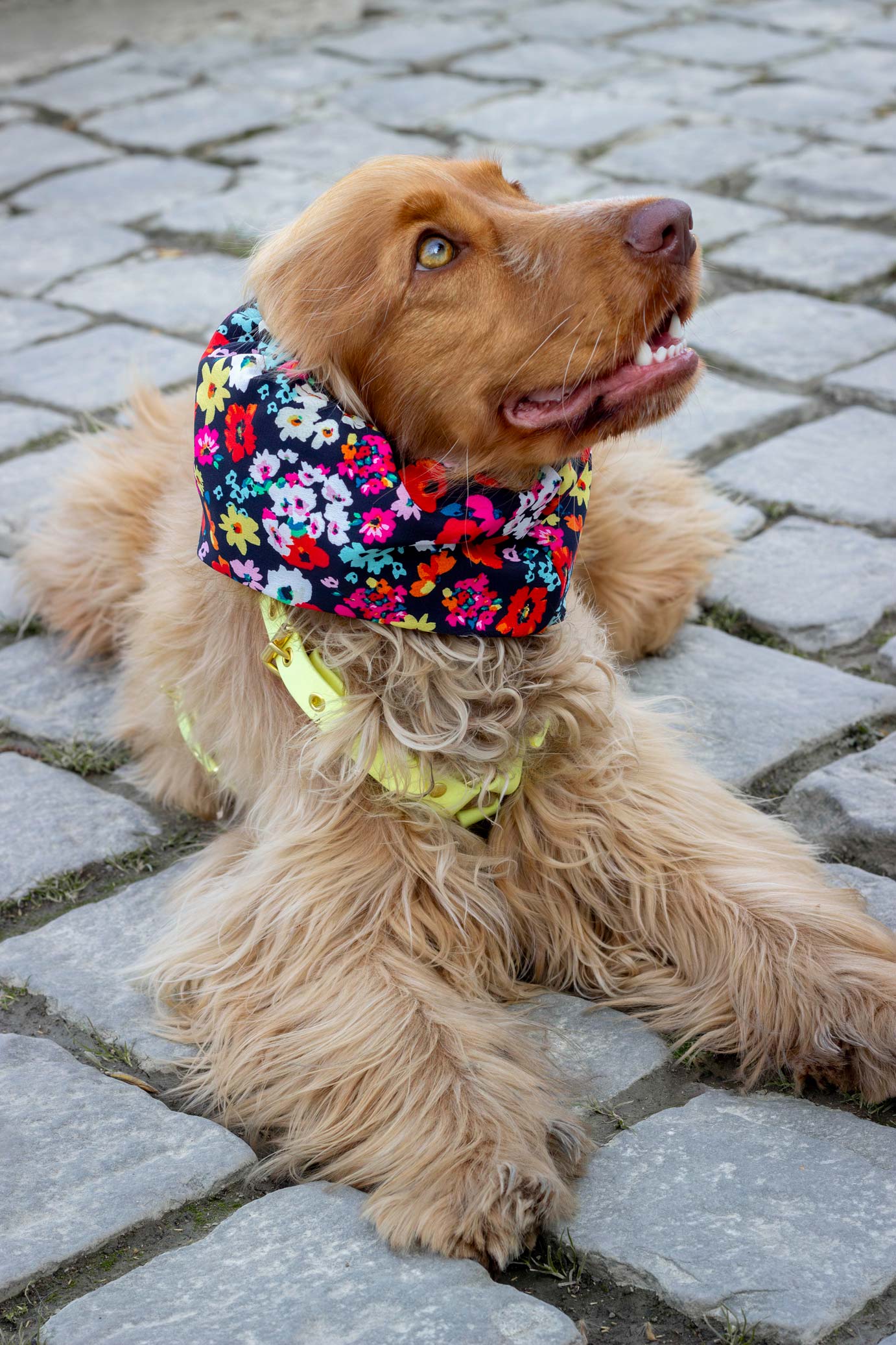 Snood Carmen