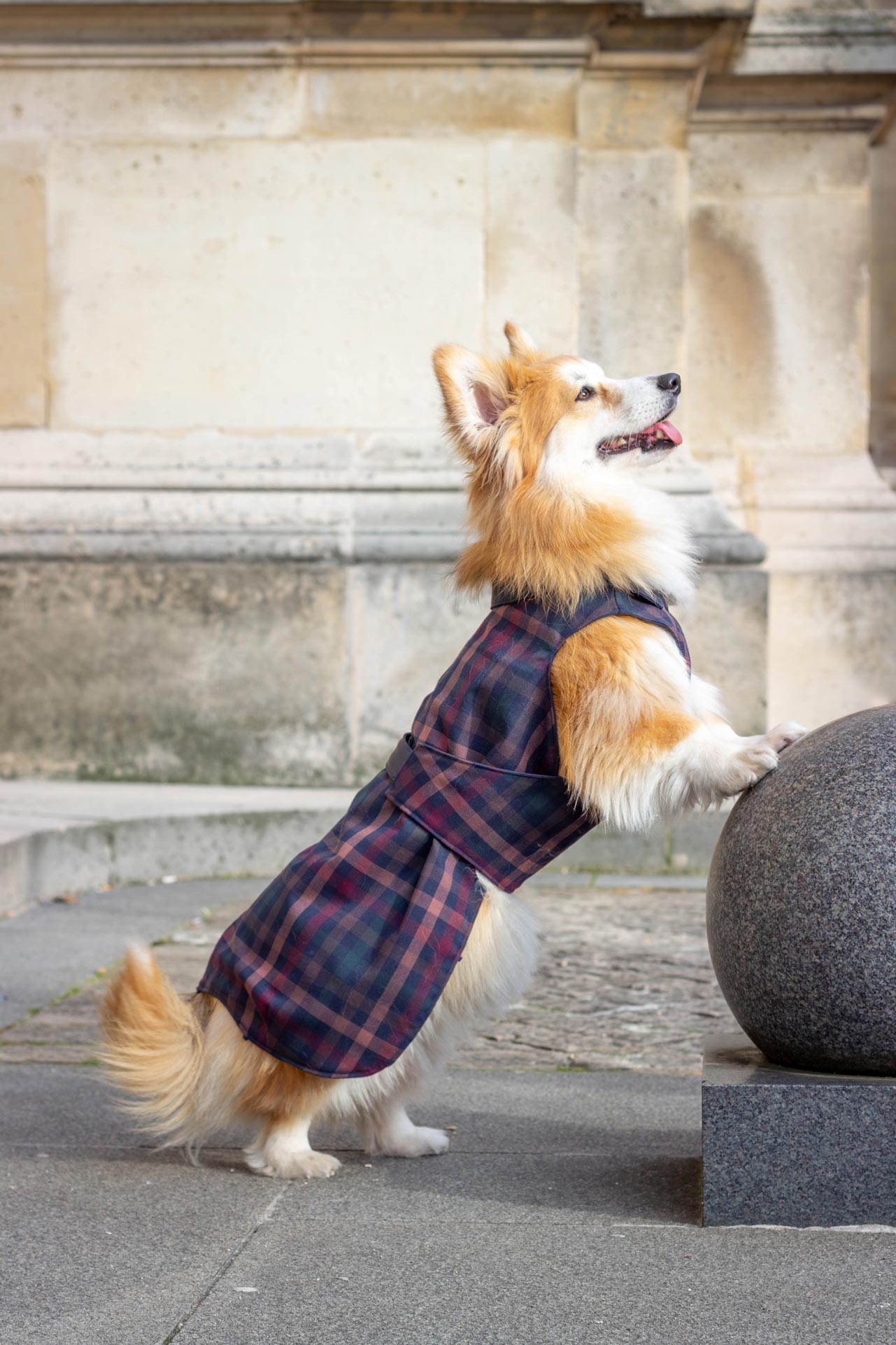 Imperméable Lord