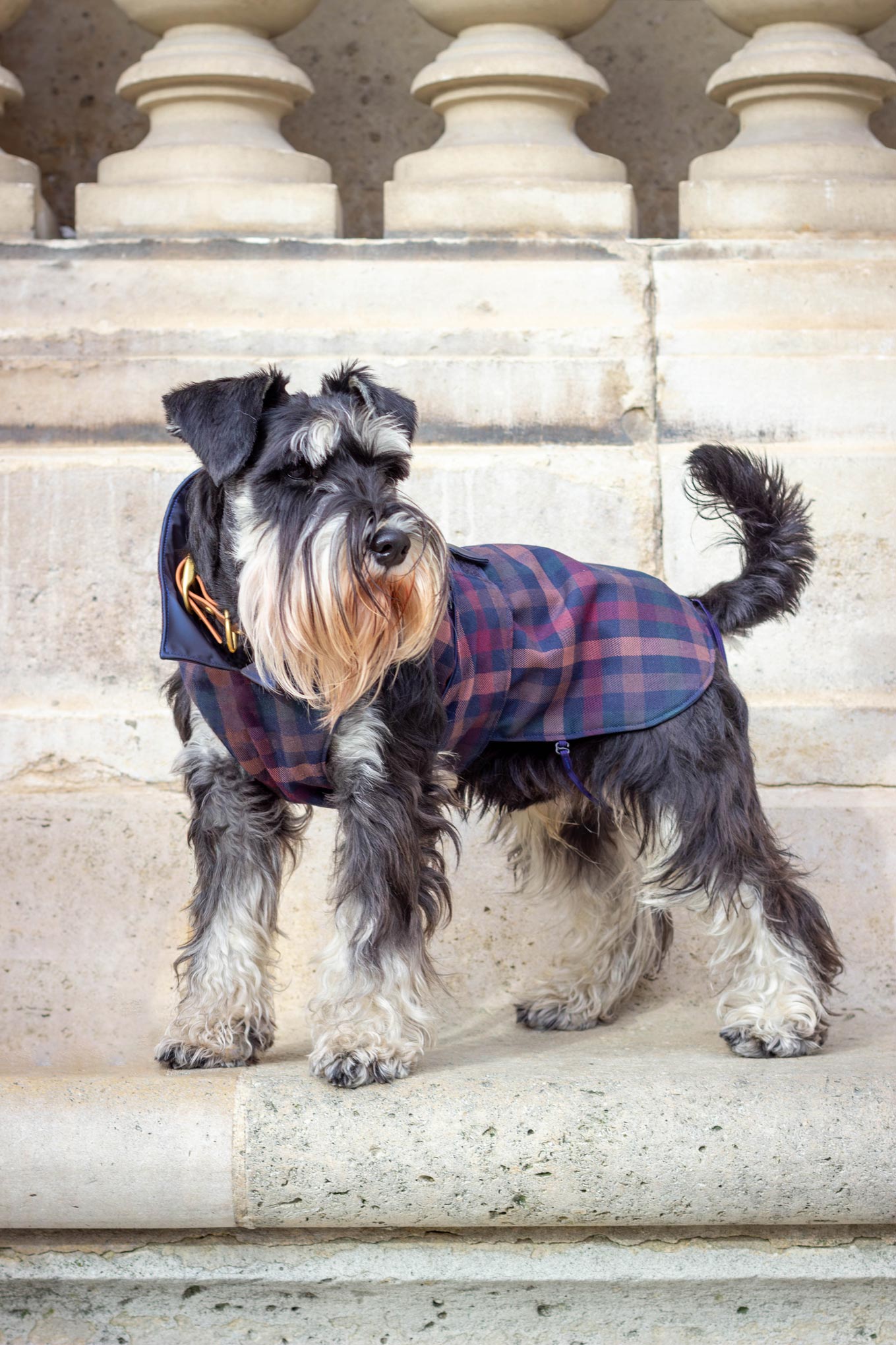 Imperméable Lord