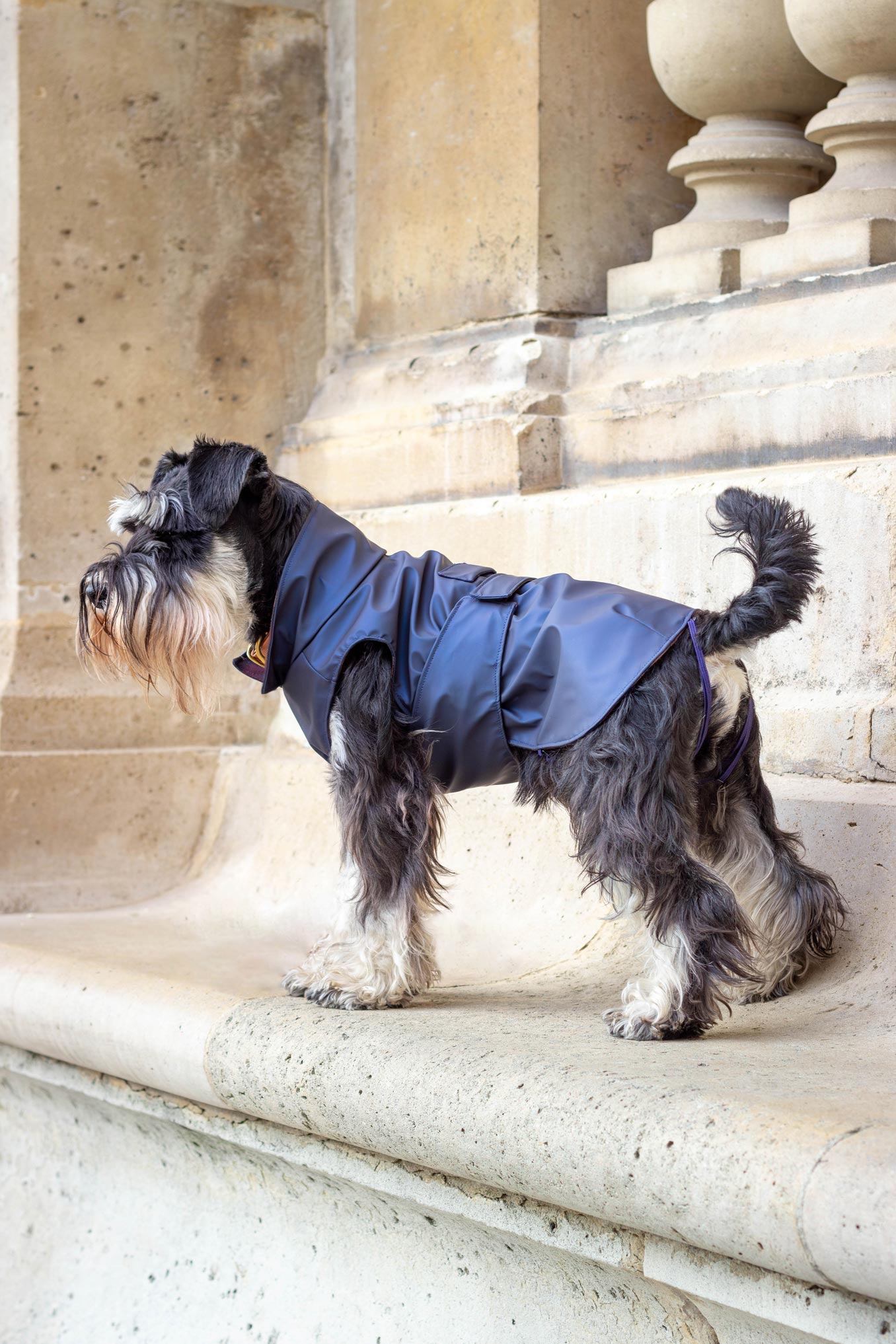 Imperméable Lord