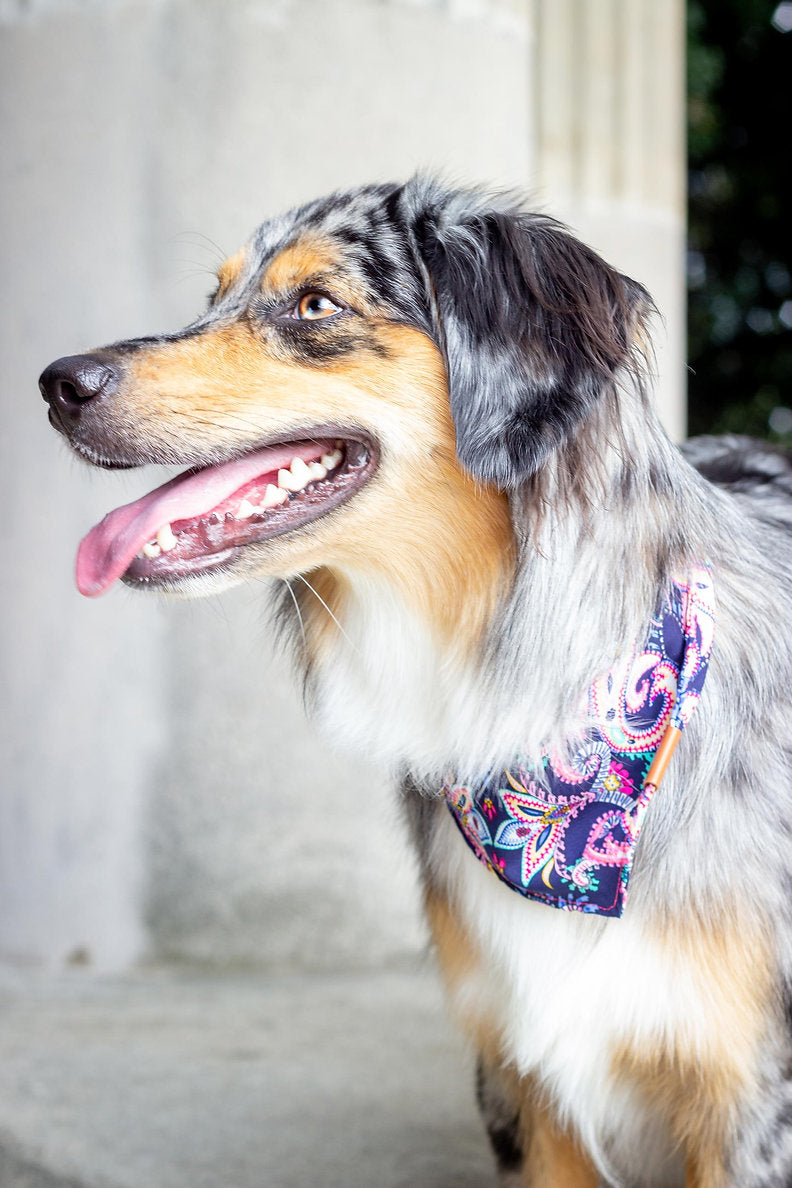 Holi Bandana