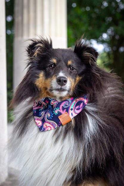 Holi Bandana