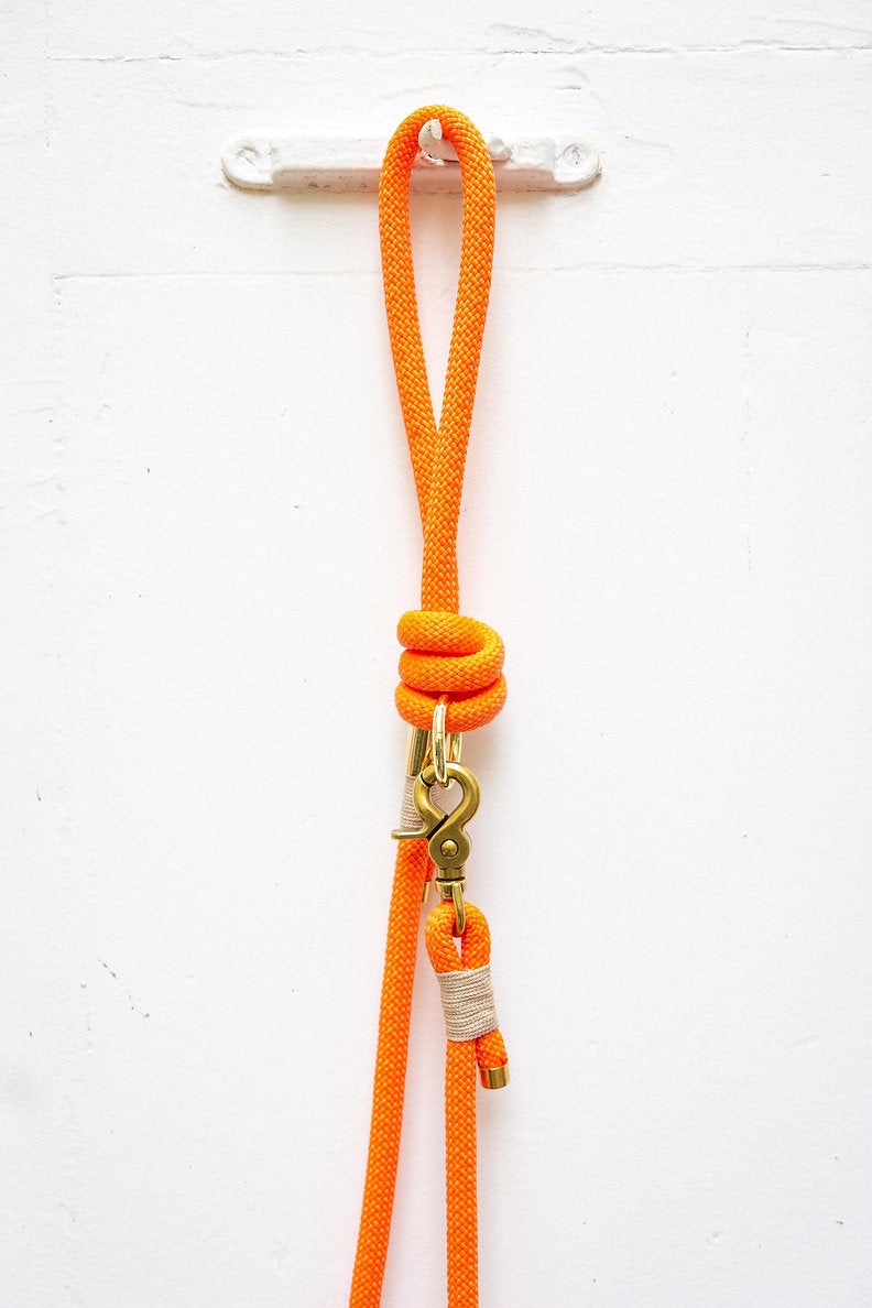 Orange leash