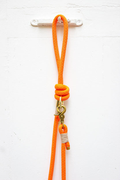 Orange leash