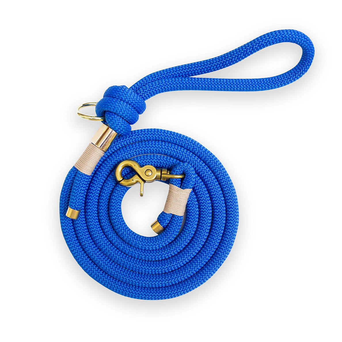 Electric blue leash