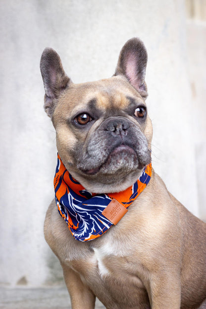 Indian Bandana