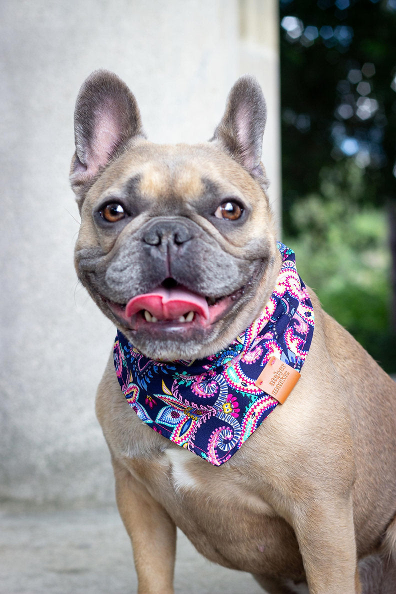 Bandana Holi